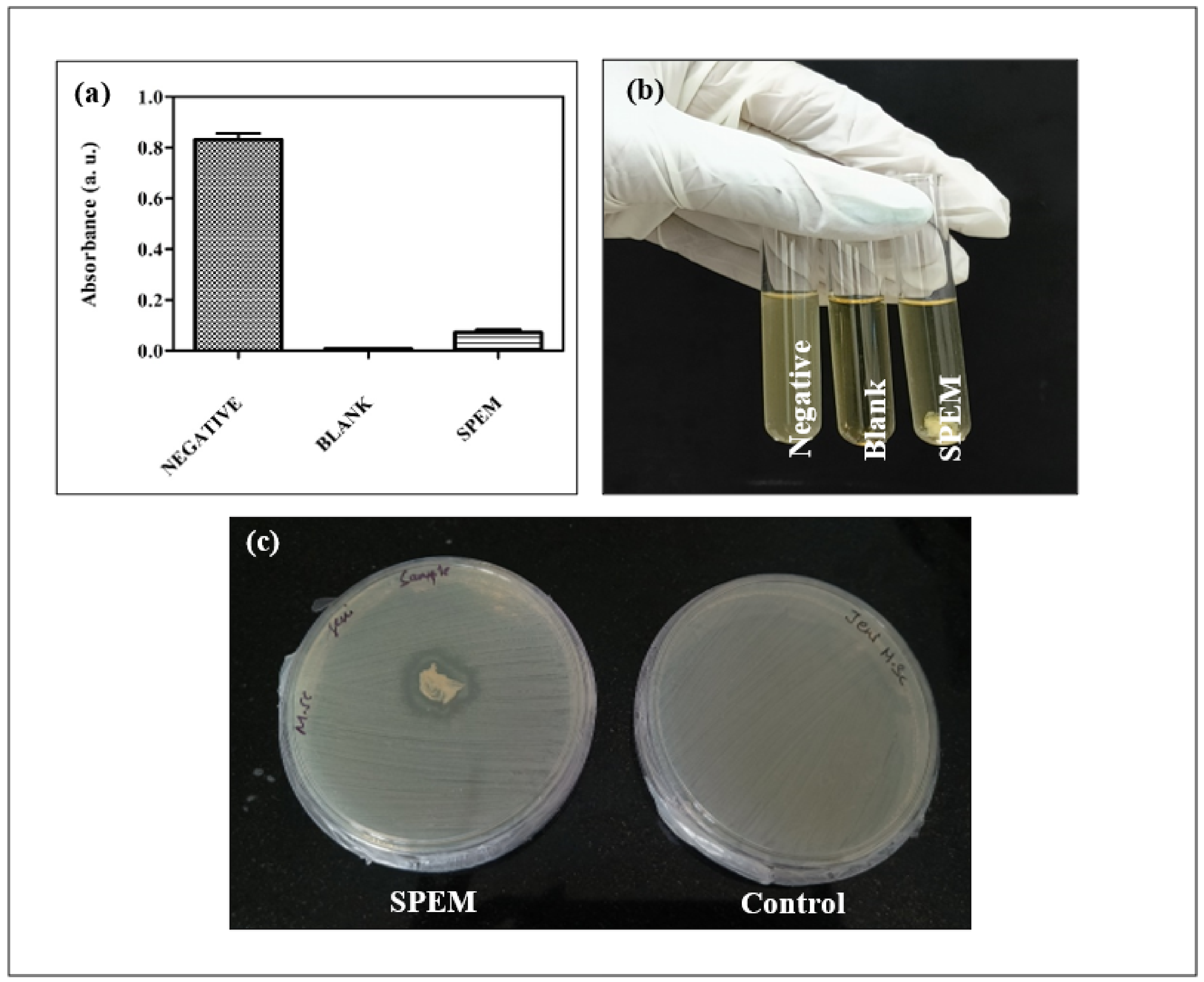 Pharmaceutics 15 00362 g007 Pharmaceutics 15 00362 g007
