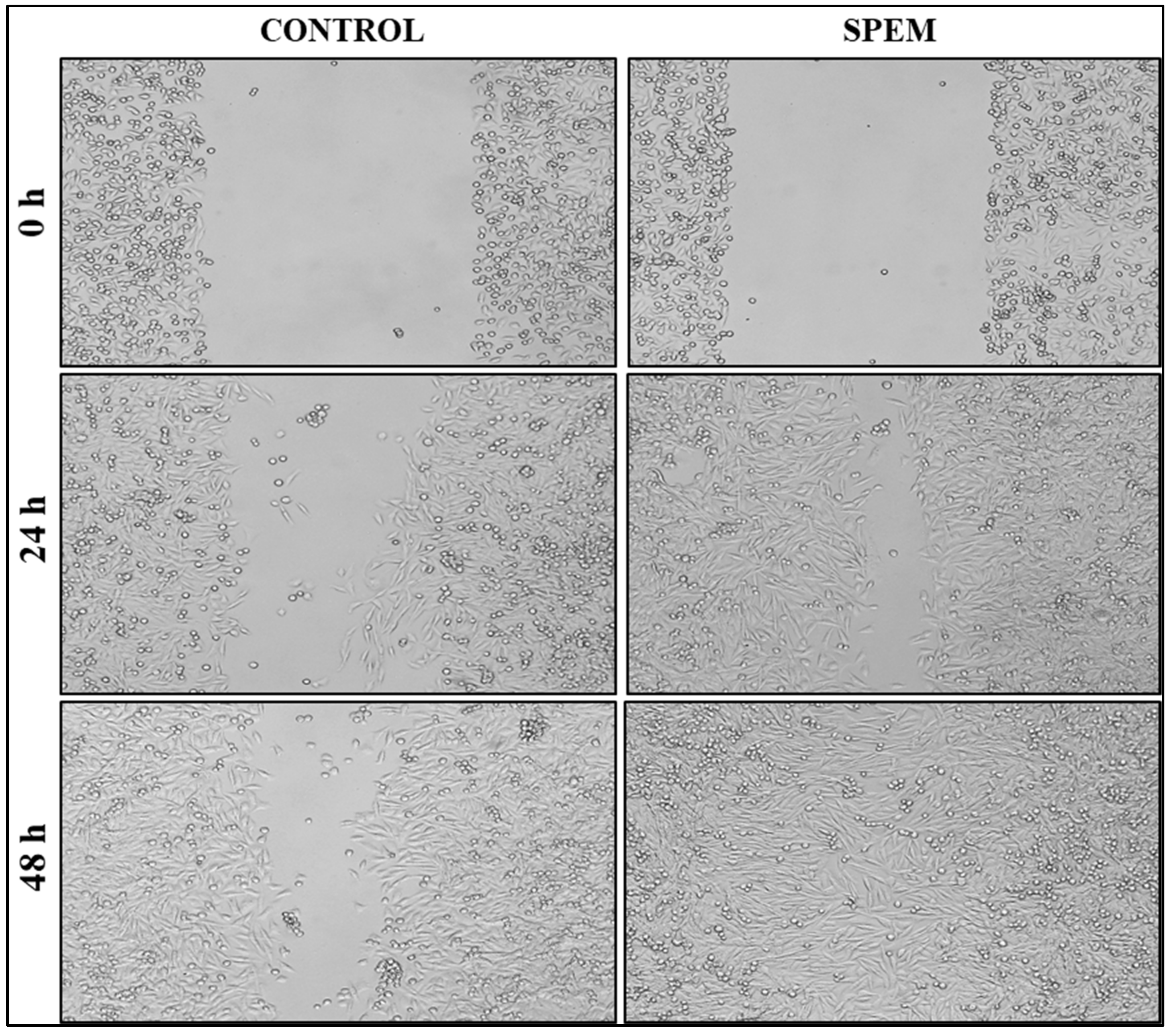 Pharmaceutics 15 00362 g009 Pharmaceutics 15 00362 g009