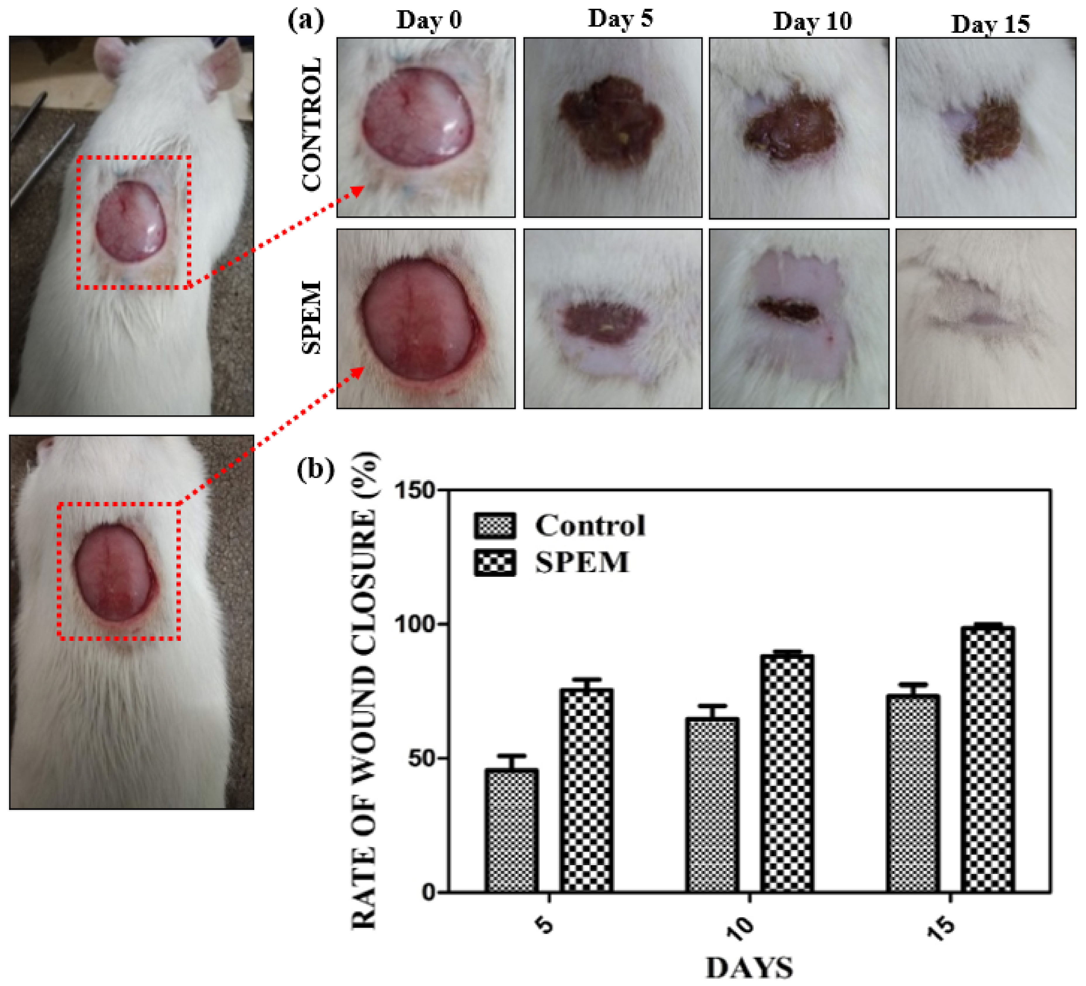 Pharmaceutics 15 00362 g012 Pharmaceutics 15 00362 g012