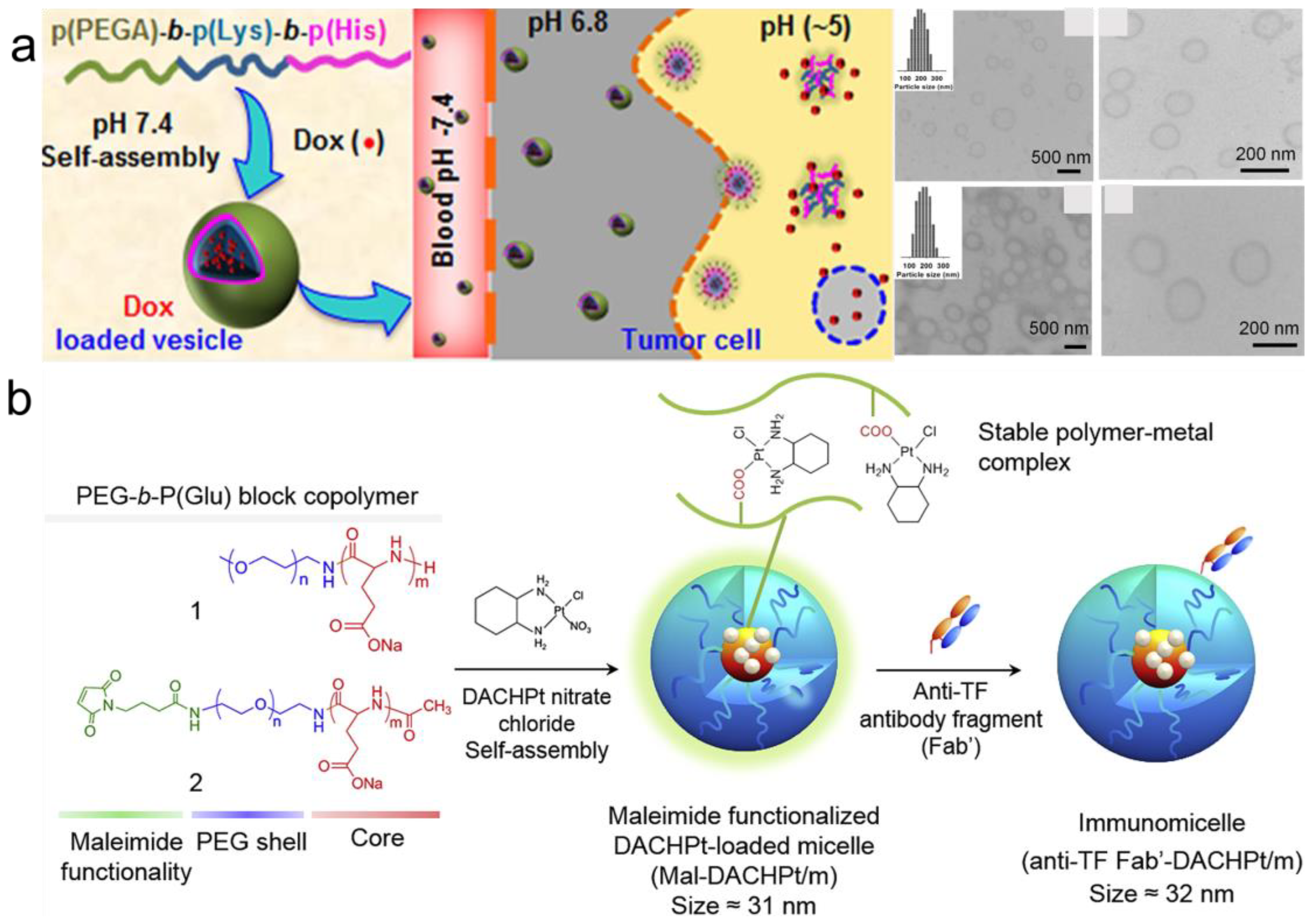 Pharmaceutics 15 00368 g005