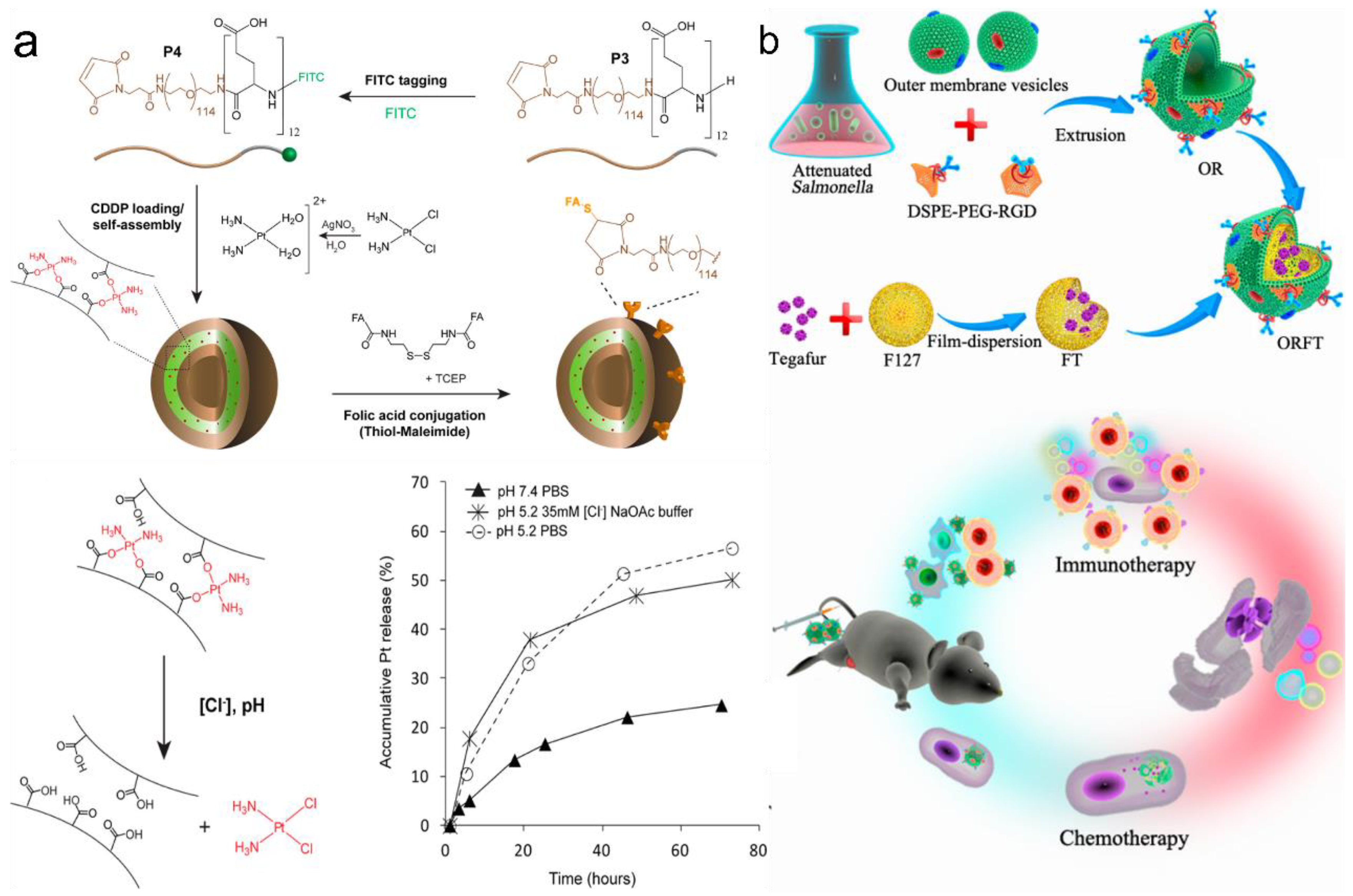 Pharmaceutics 15 00368 g007