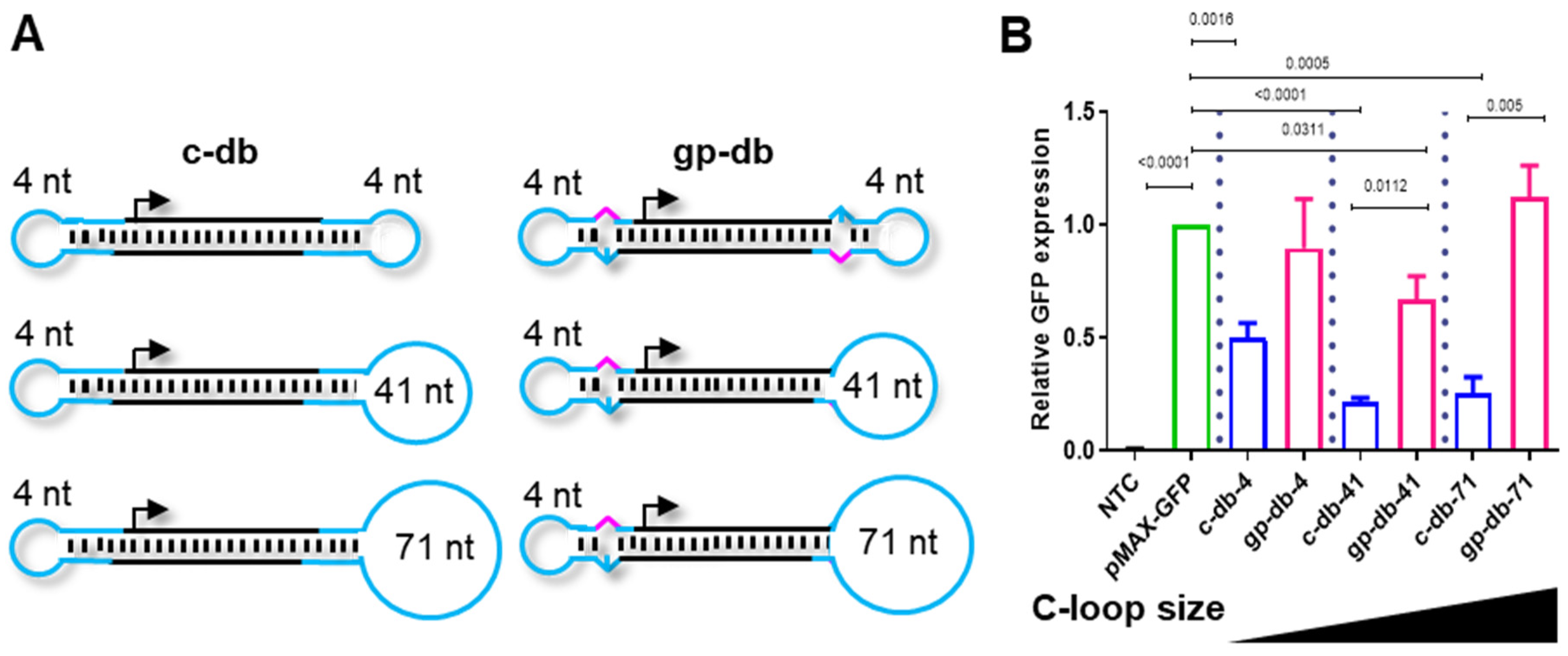 Pharmaceutics 15 00370 g001