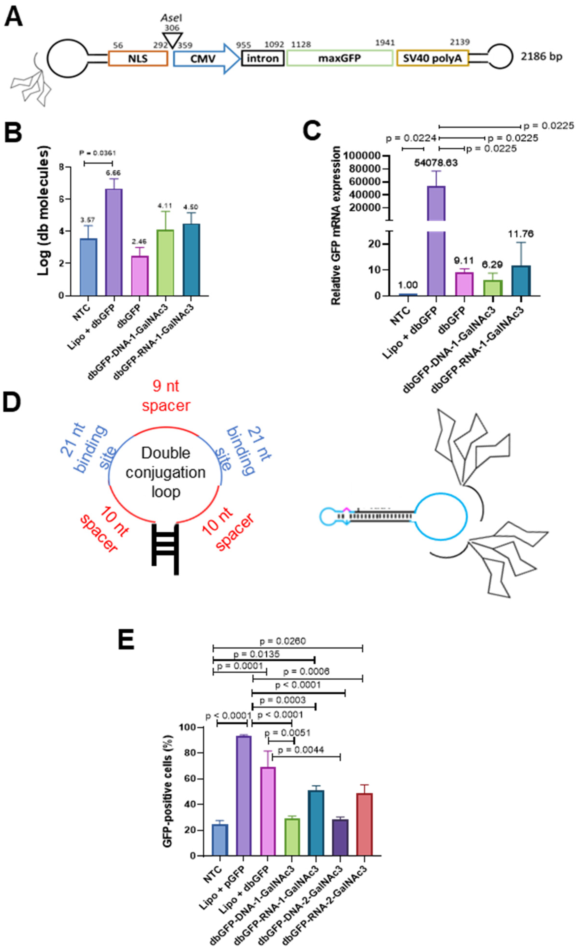 Pharmaceutics 15 00370 g003