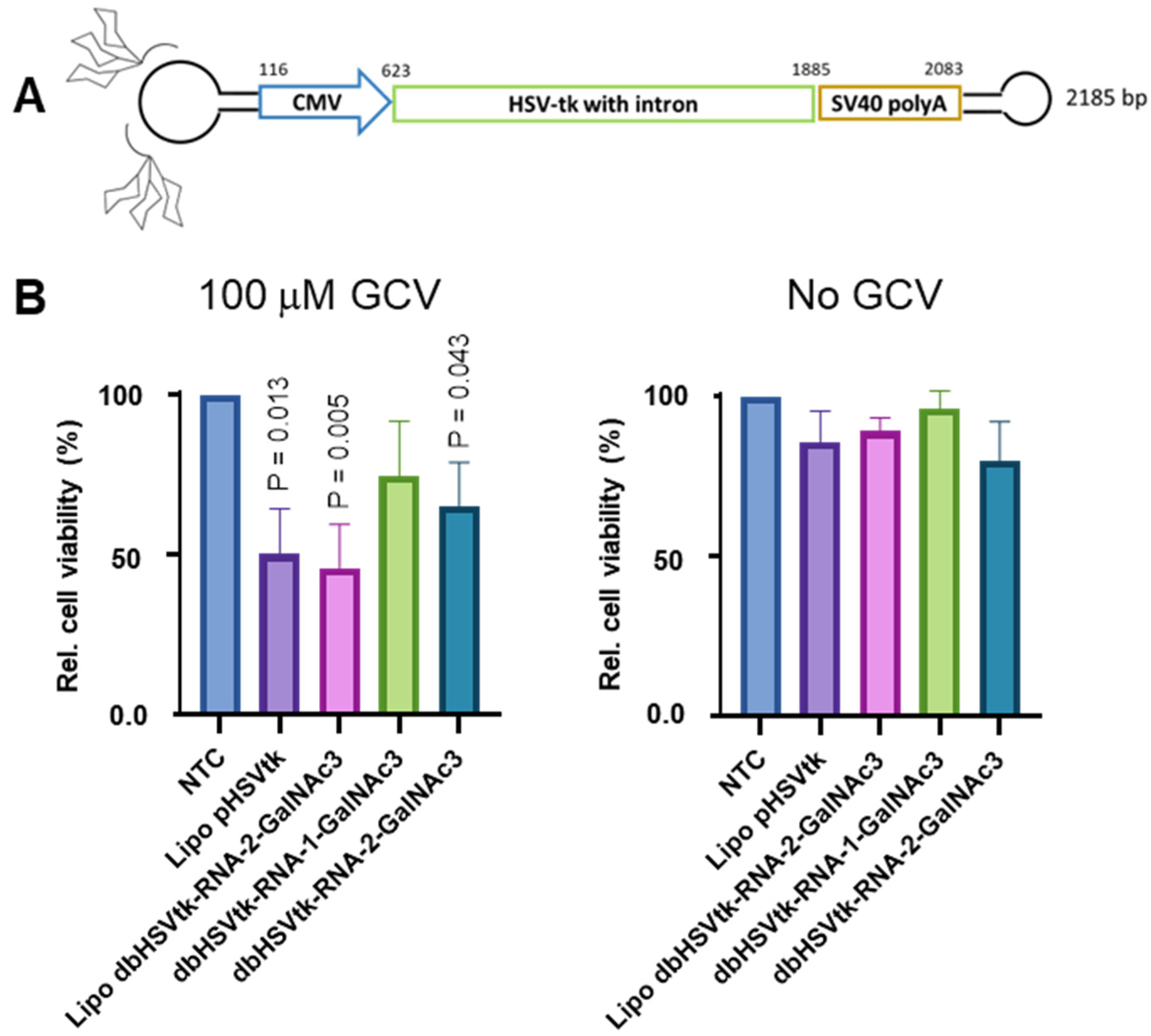 Pharmaceutics 15 00370 g004