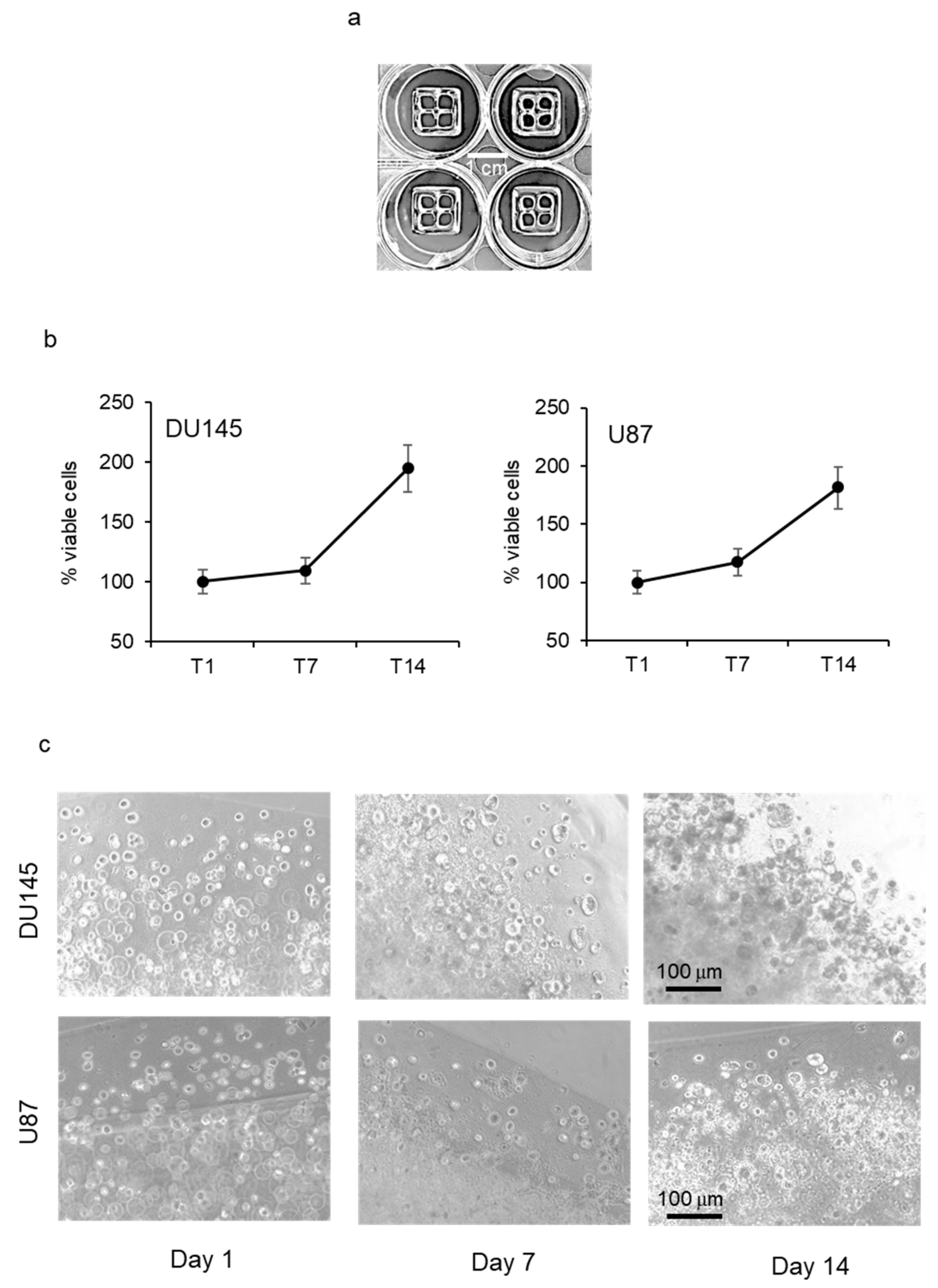 Pharmaceutics 15 00372 g001