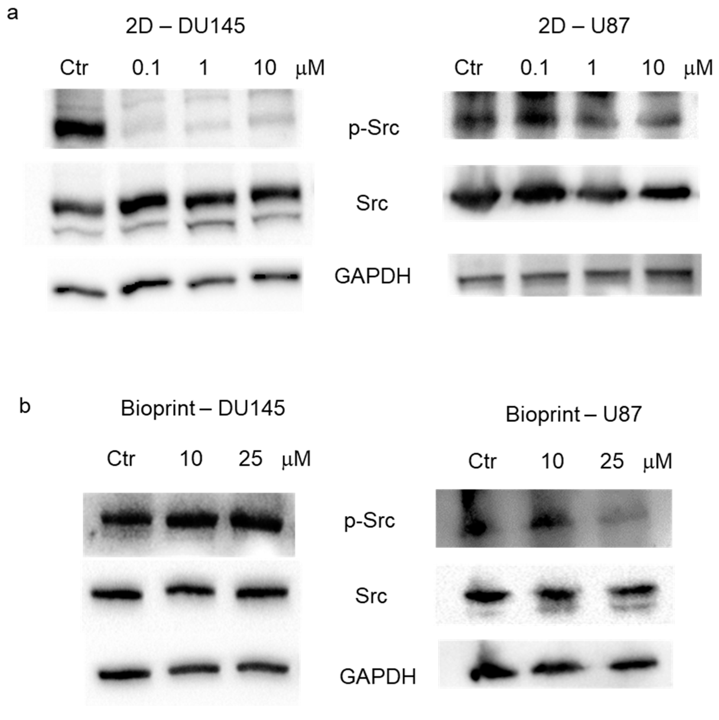 Pharmaceutics 15 00372 g003