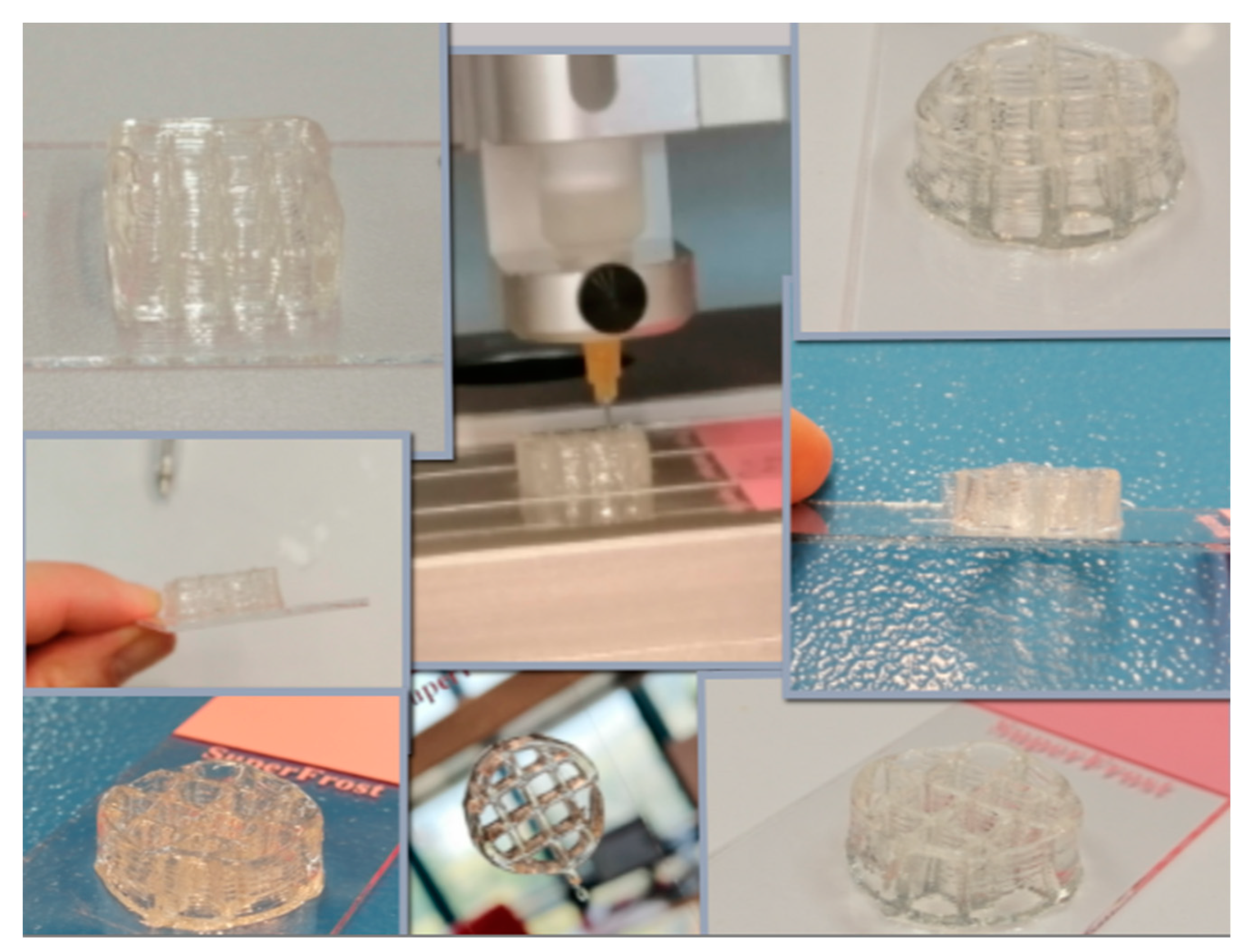 Pharmaceutics 15 00373 g010 Pharmaceutics 15 00373 g010