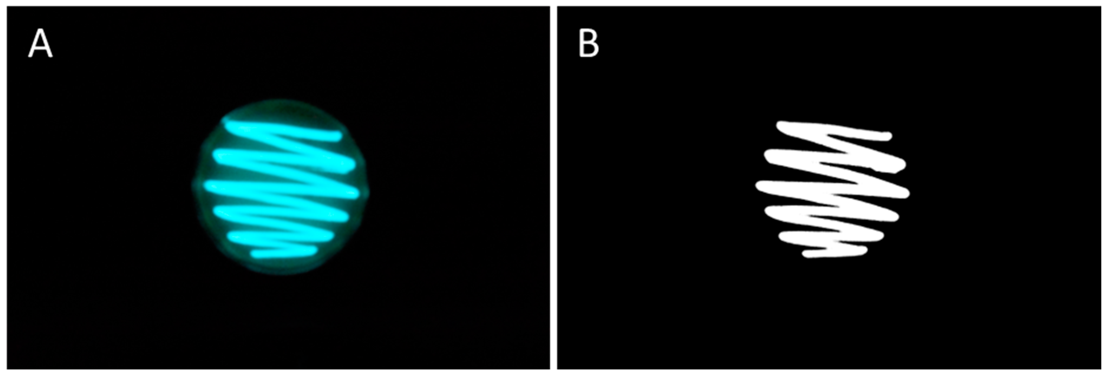 Pharmaceutics 15 00375 g001