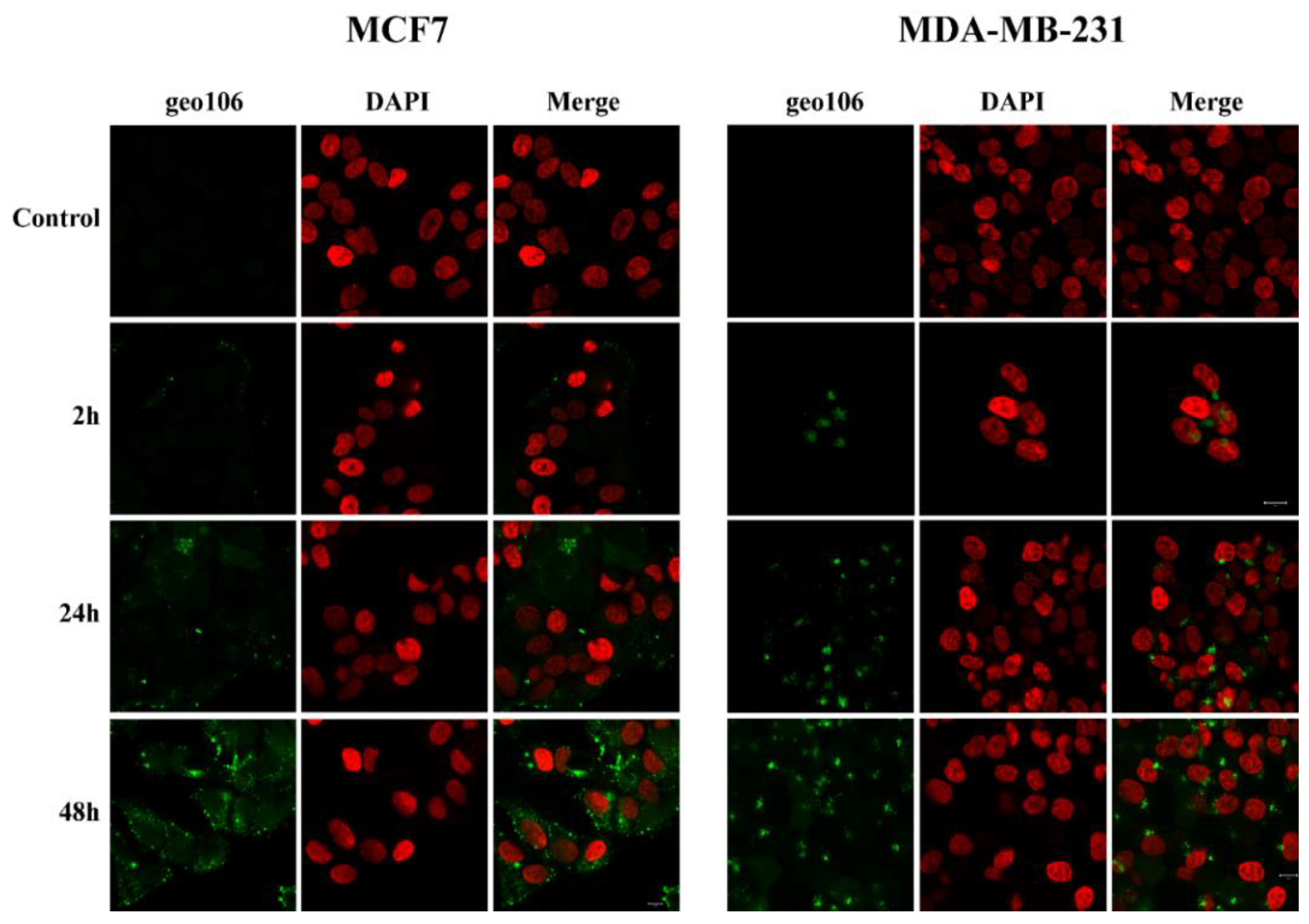 Pharmaceutics 15 00381 g007