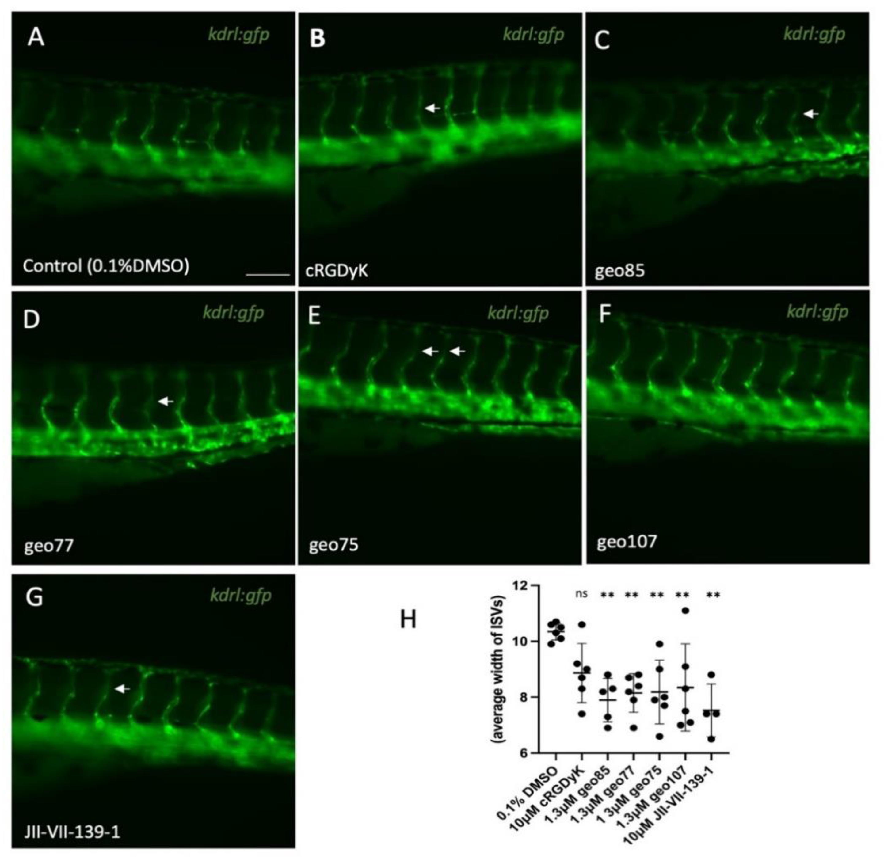Pharmaceutics 15 00381 g009