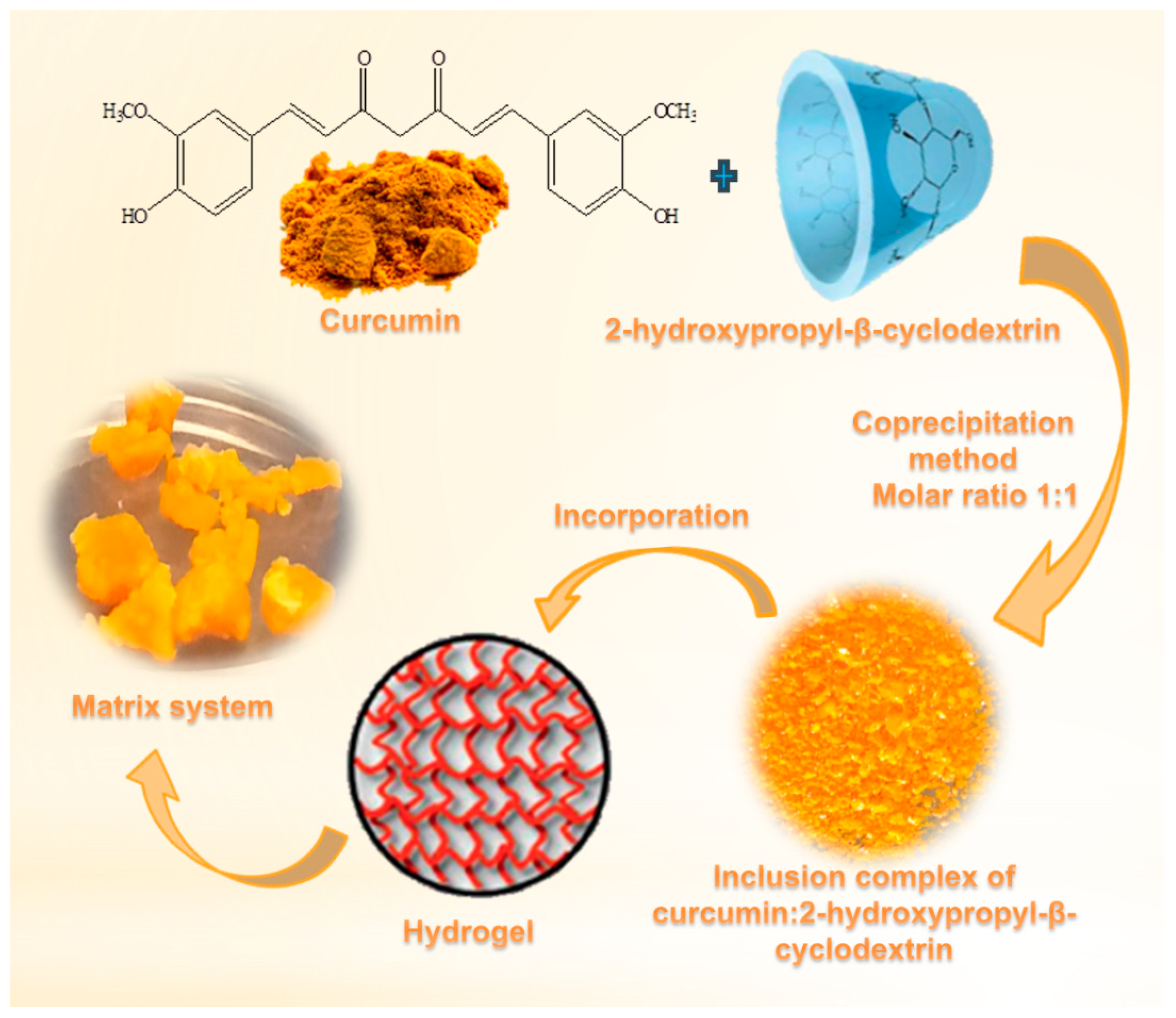 Pharmaceutics Free FullText The Formulation of Curcumin 2