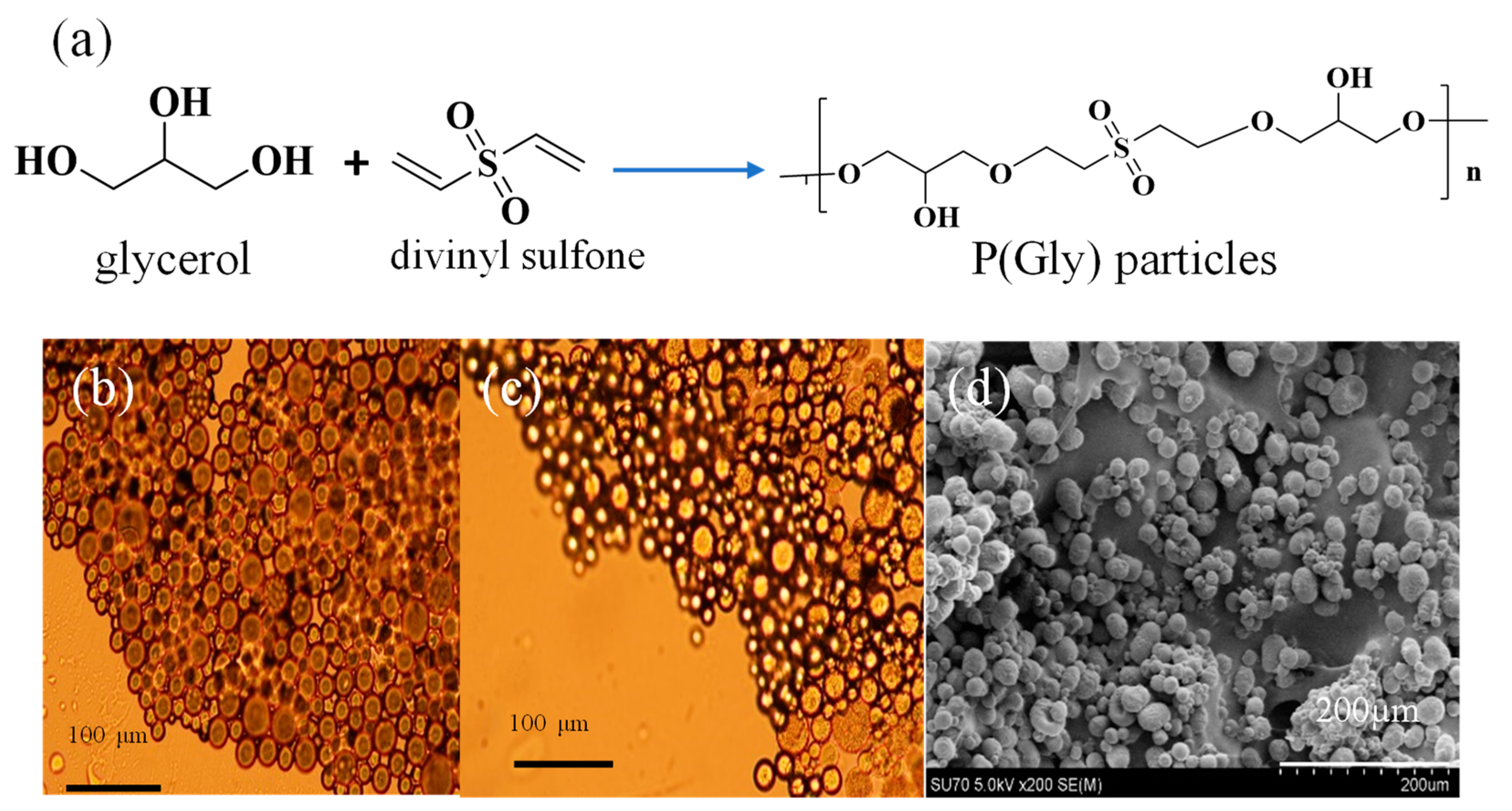 Pharmaceutics 15 00384 g001