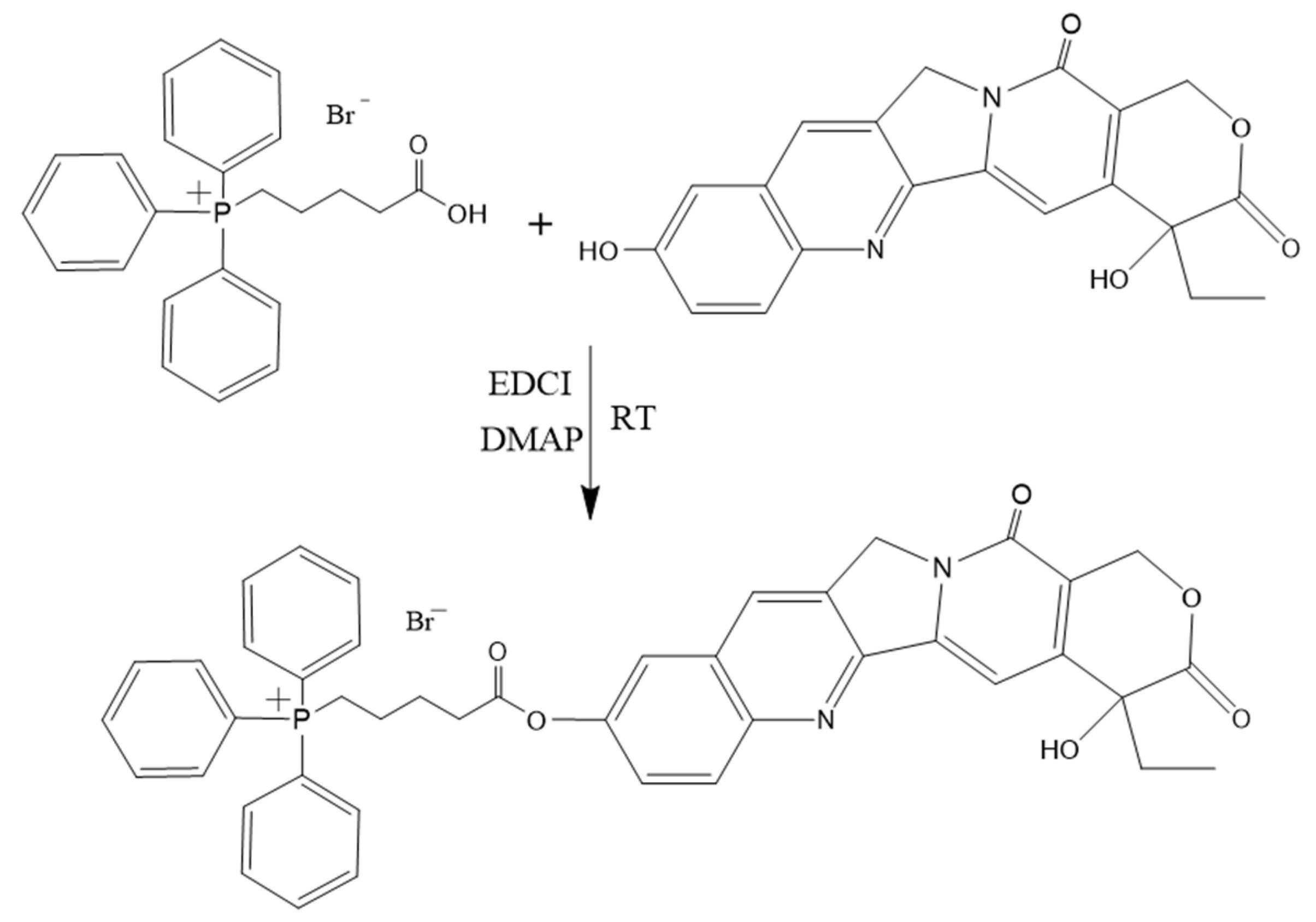 Pharmaceutics 15 00388 g002 Pharmaceutics 15 00388 g002