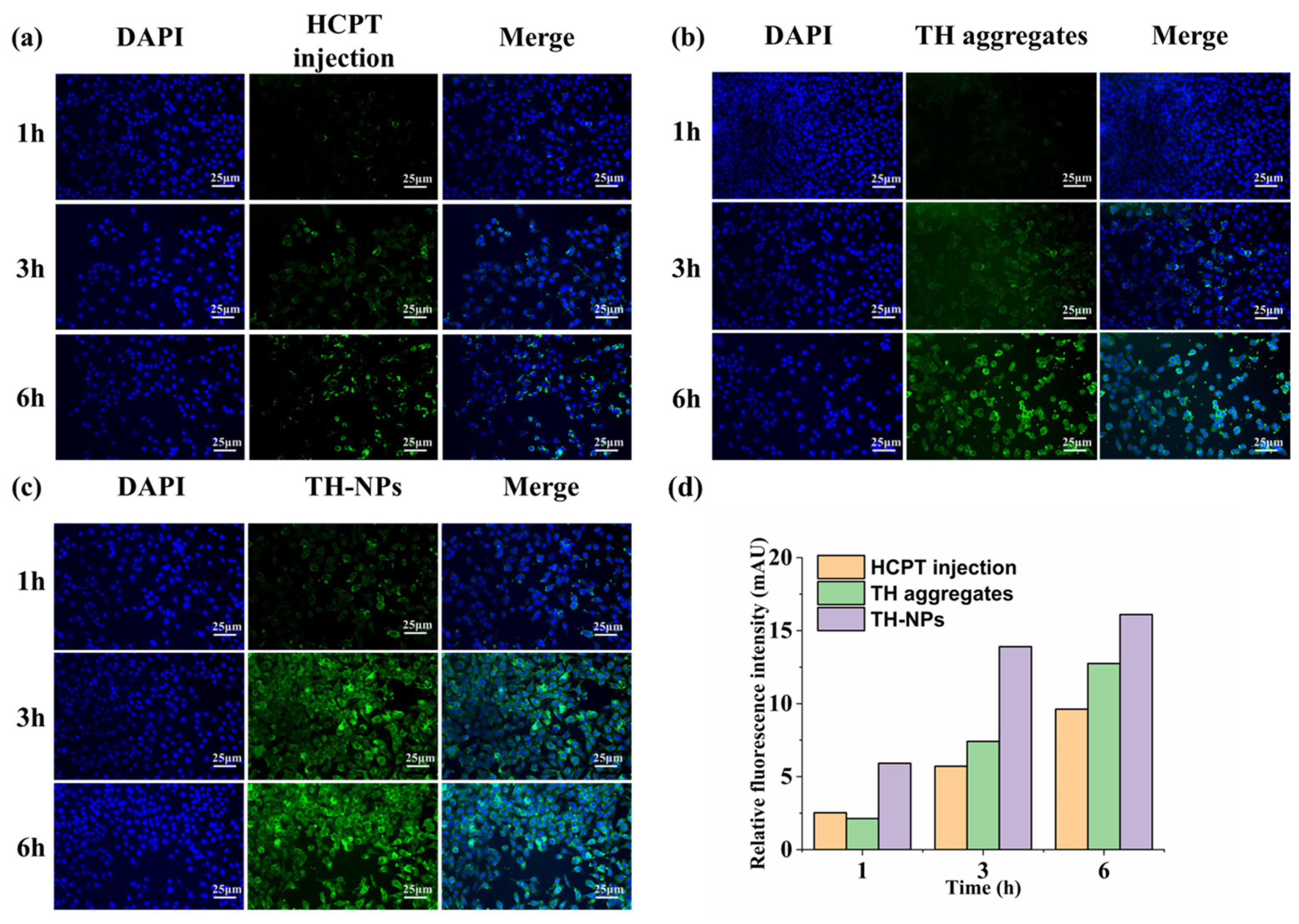 Pharmaceutics 15 00388 g008 Pharmaceutics 15 00388 g008