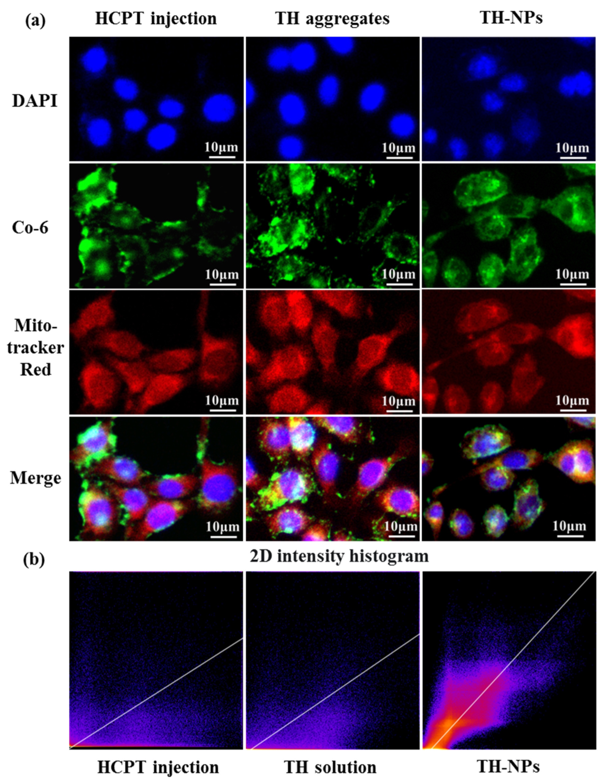 Pharmaceutics 15 00388 g009 Pharmaceutics 15 00388 g009