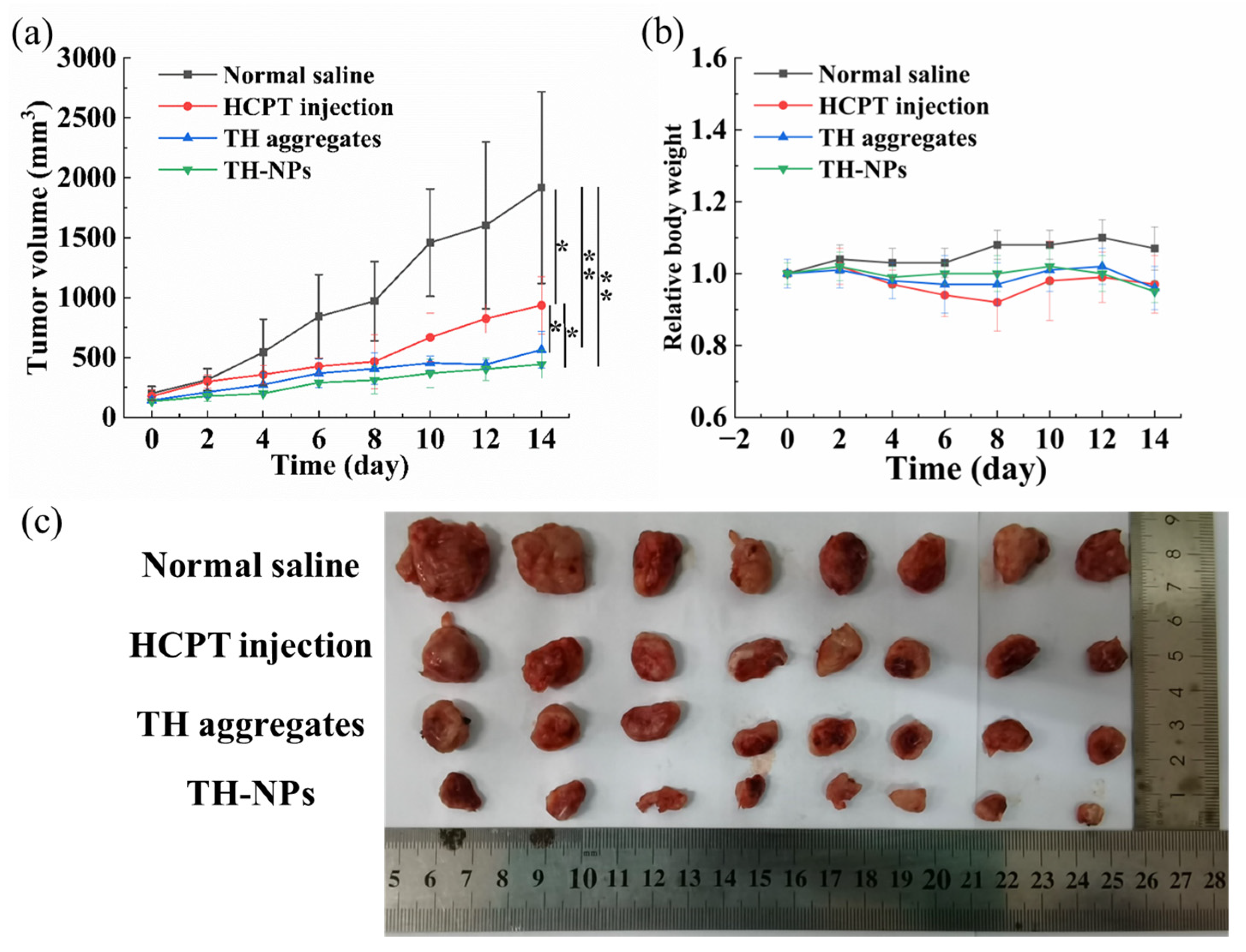 Pharmaceutics 15 00388 g010 Pharmaceutics 15 00388 g010