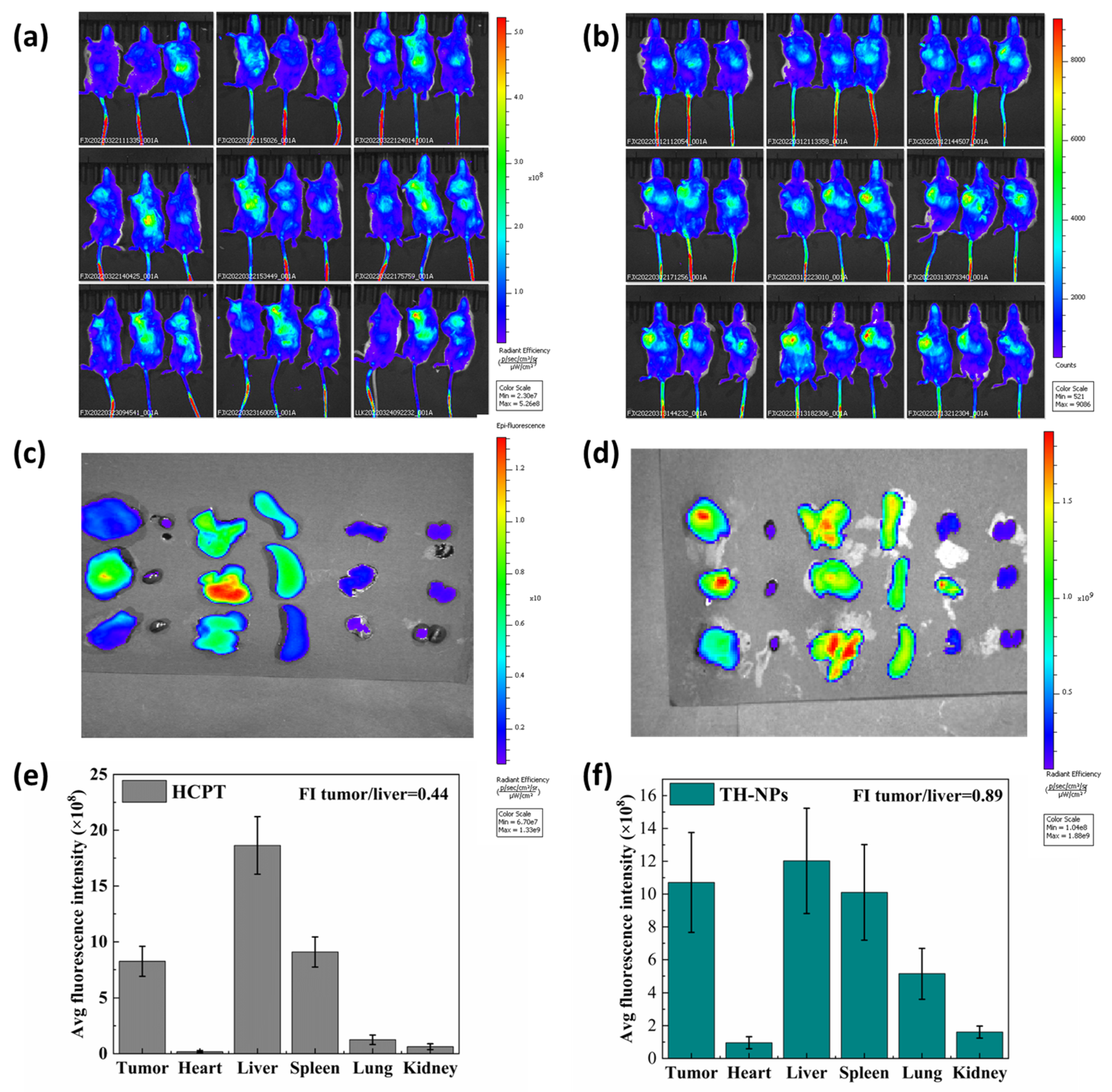 Pharmaceutics 15 00388 g011 Pharmaceutics 15 00388 g011