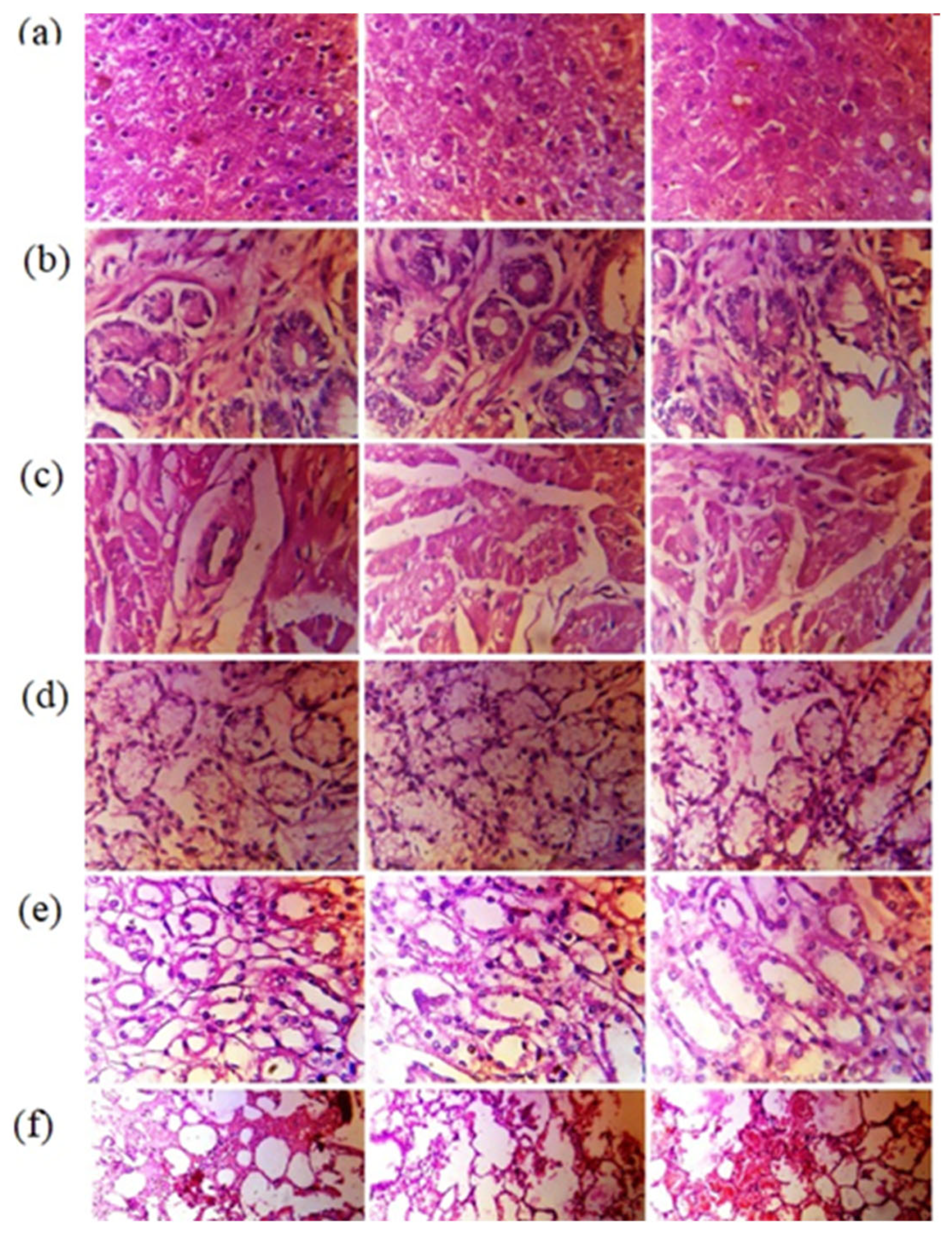 Pharmaceutics 15 00389 g010 Pharmaceutics 15 00389 g010