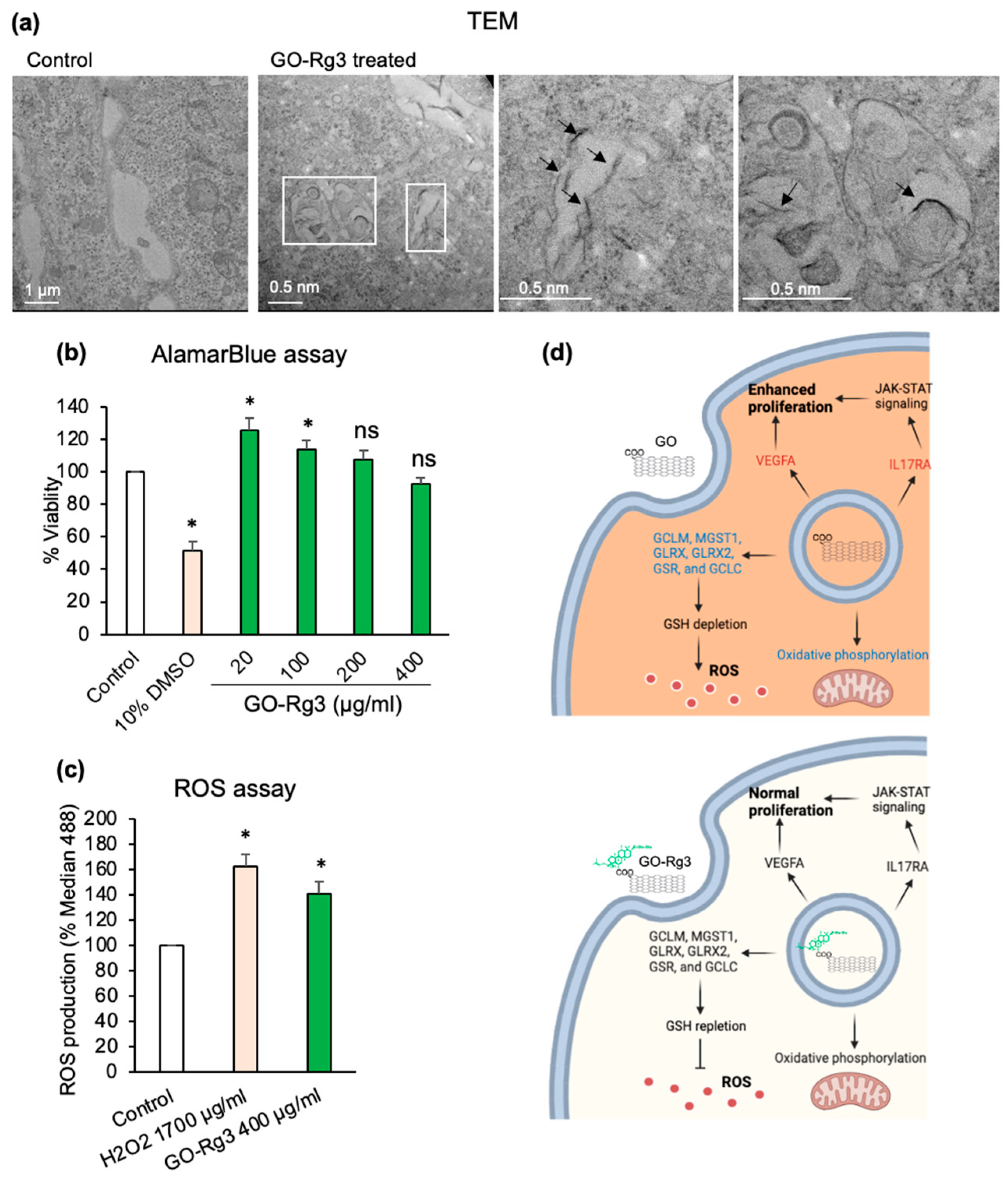 Pharmaceutics 15 00391 g004