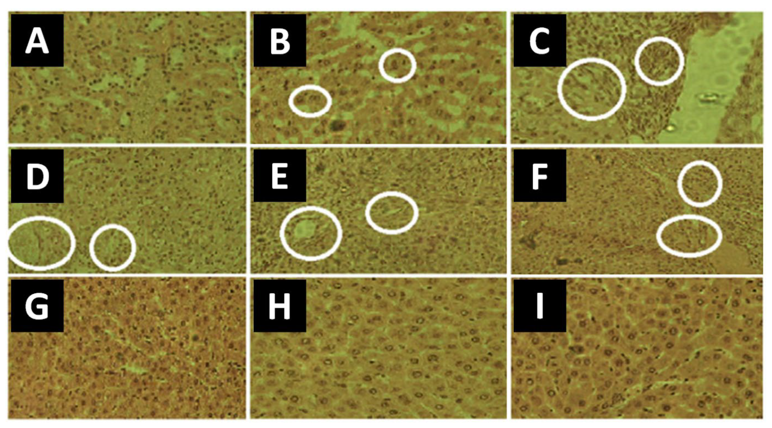 Pharmaceutics 15 00393 g011 Pharmaceutics 15 00393 g011