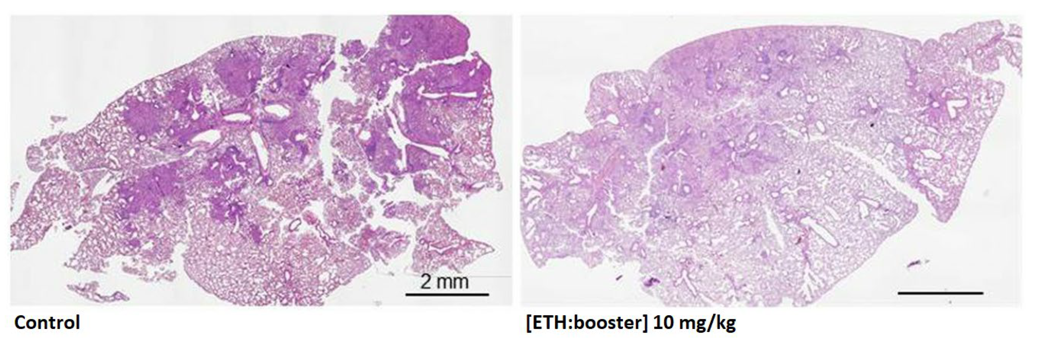 Pharmaceutics 15 00393 g012 Pharmaceutics 15 00393 g012