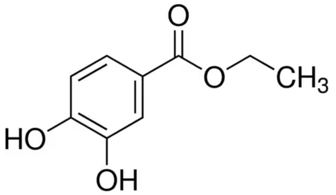Pharmaceutics 15 00394 sch001