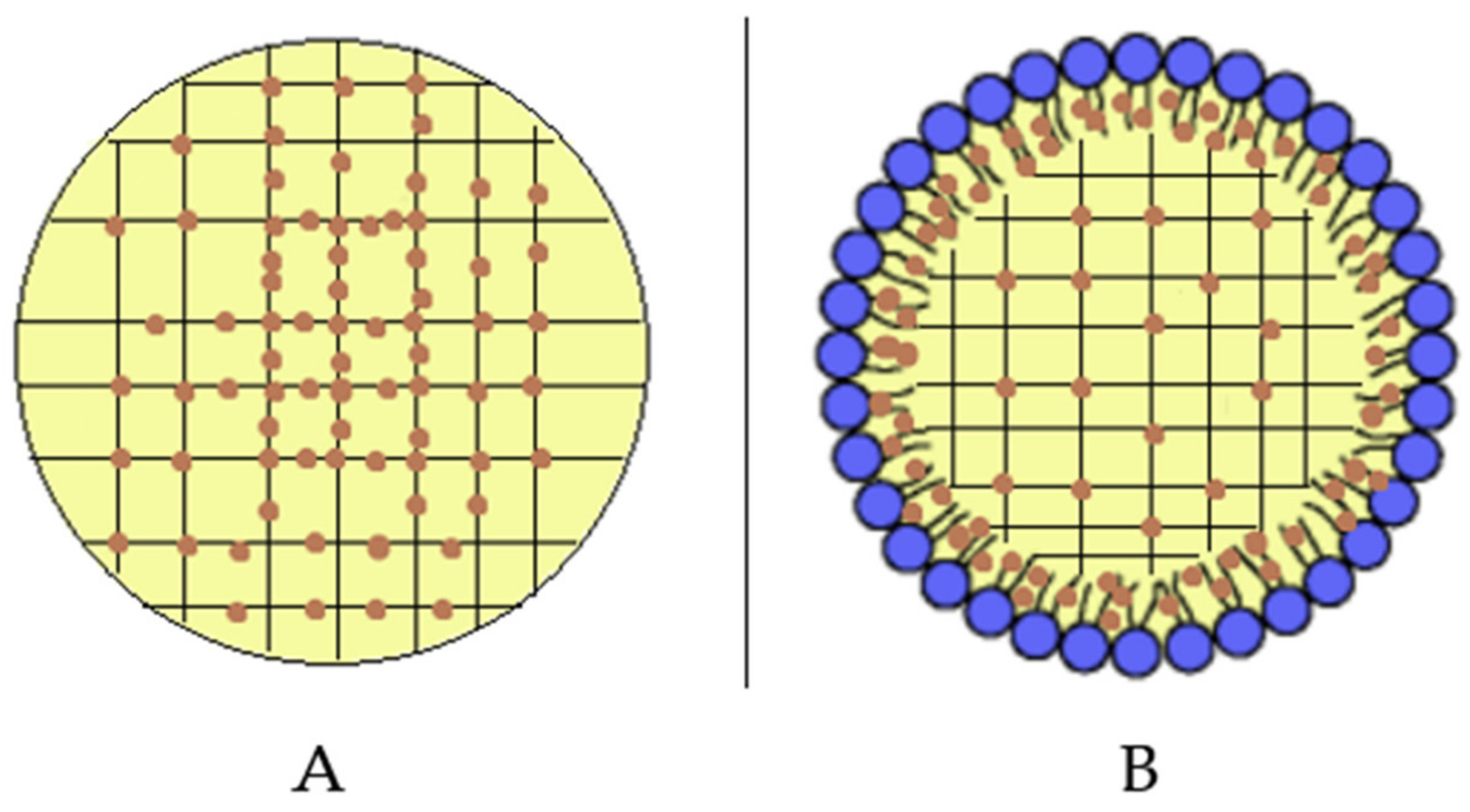 Pharmaceutics 15 00394 sch002