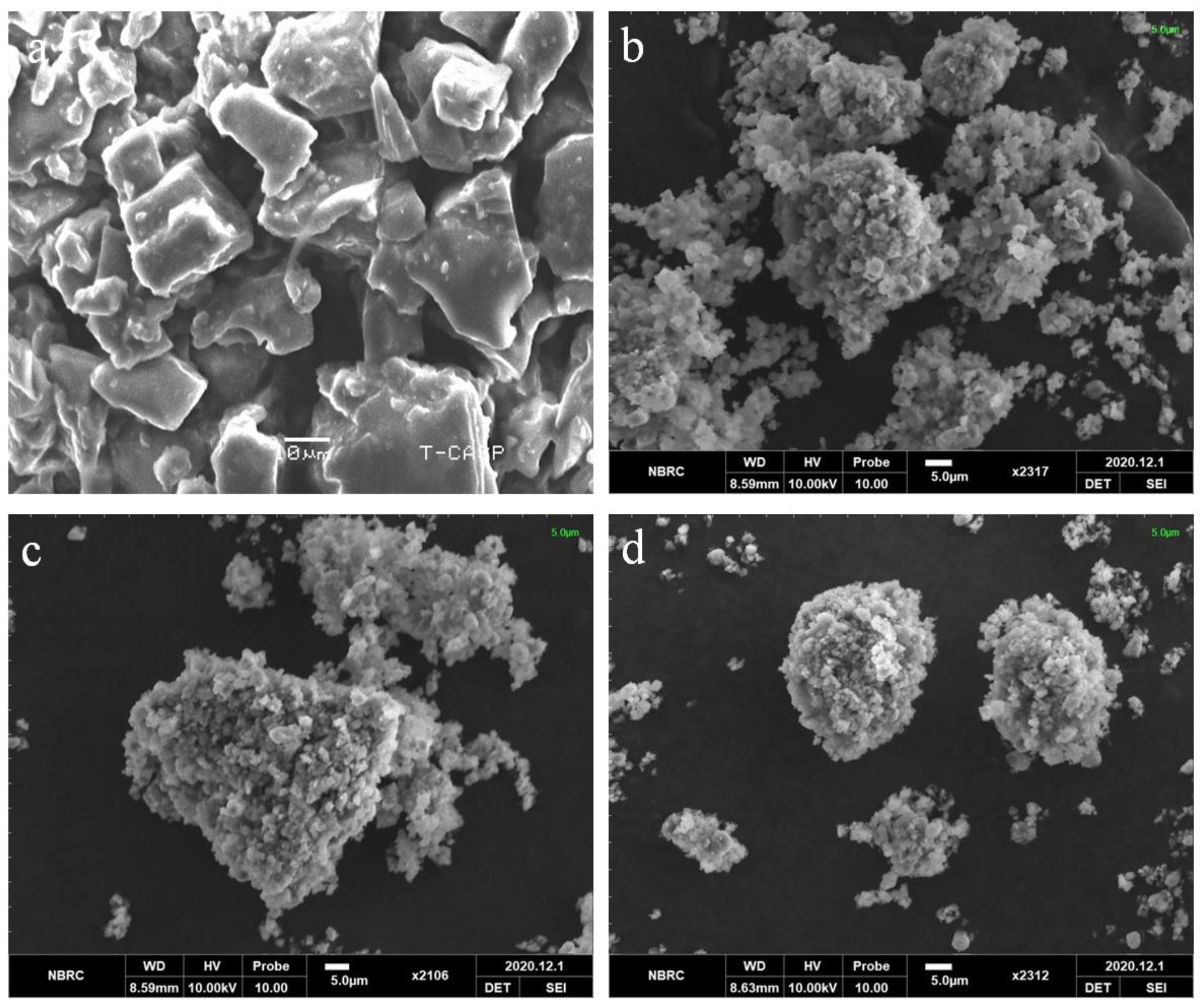 Pharmaceutics 15 00399 g004 Pharmaceutics 15 00399 g004