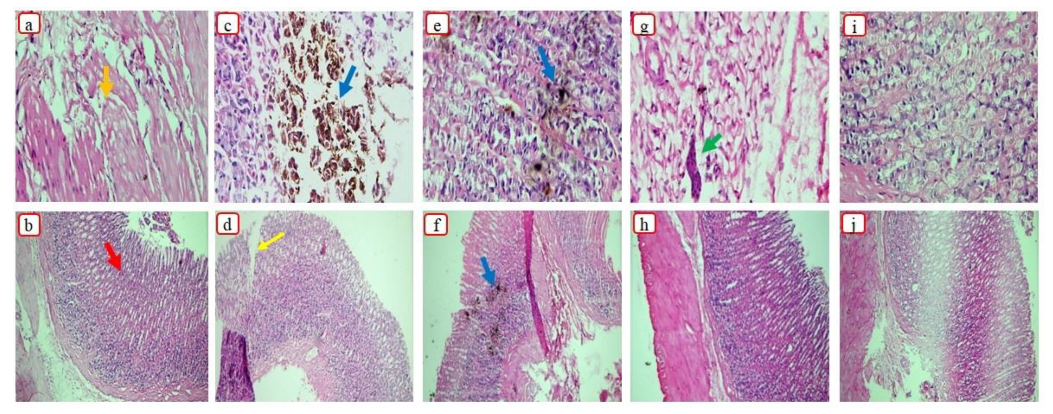 Pharmaceutics 15 00399 g009 Pharmaceutics 15 00399 g009