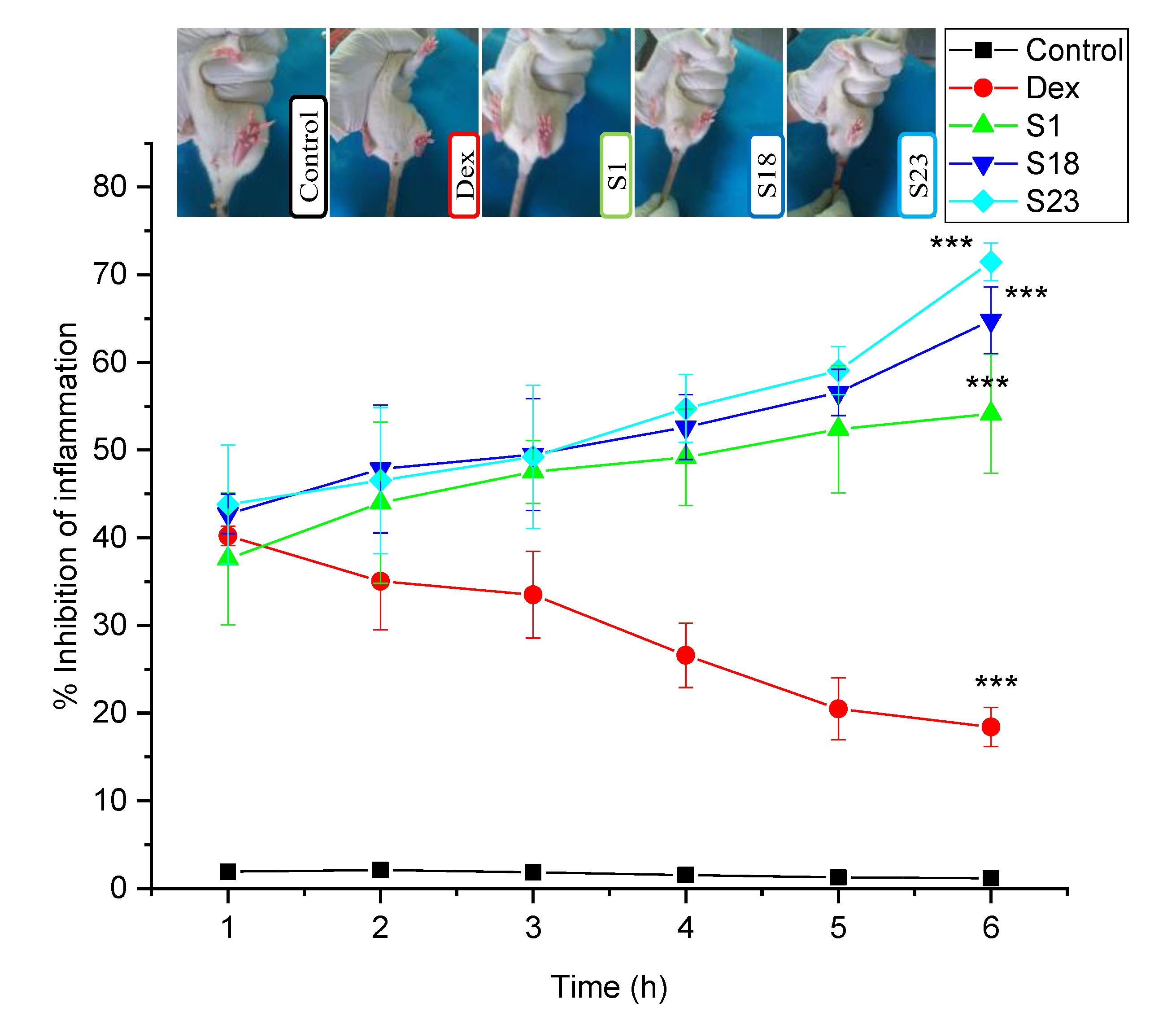 Pharmaceutics 15 00399 g010 Pharmaceutics 15 00399 g010