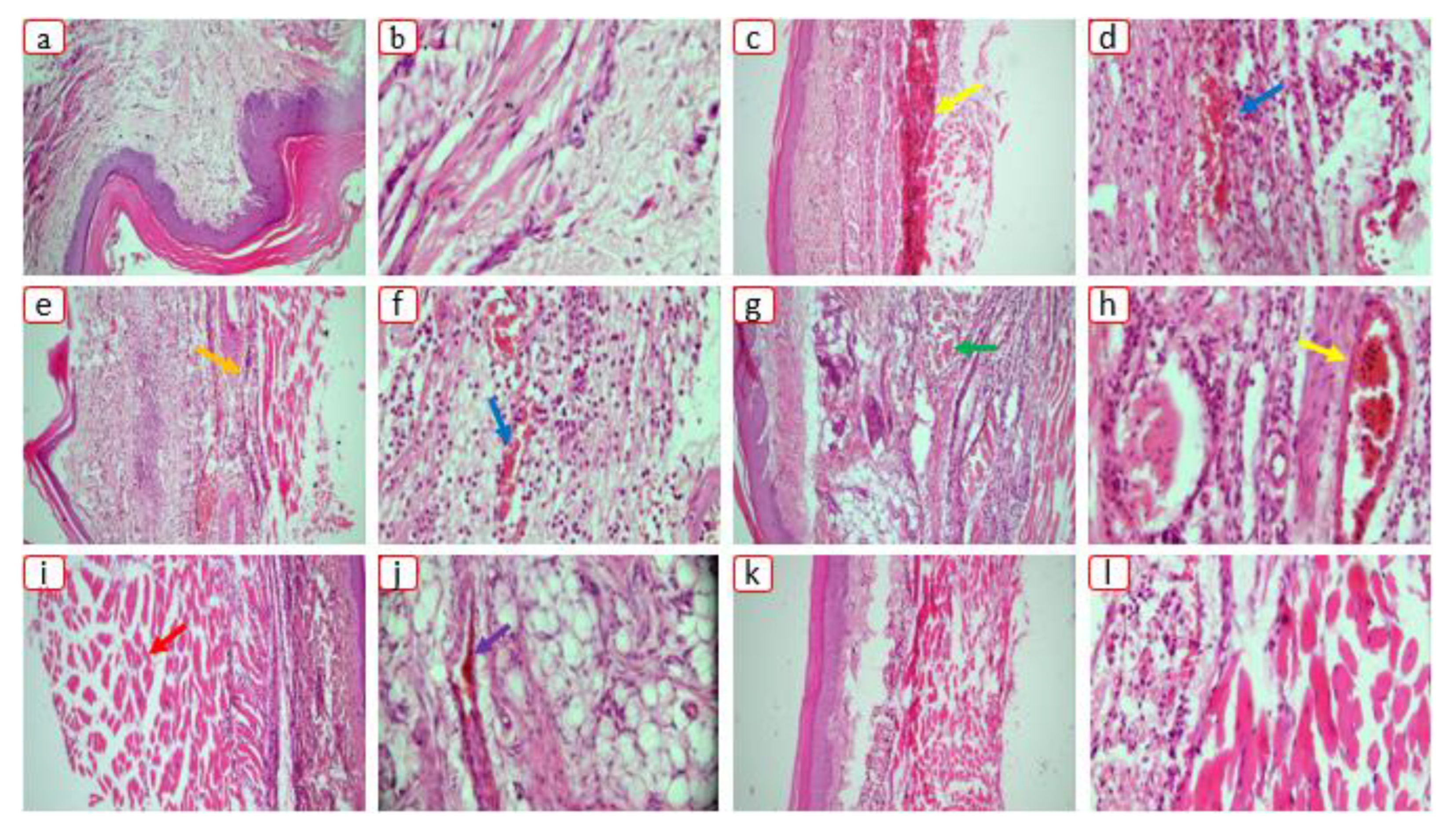 Pharmaceutics 15 00399 g012 Pharmaceutics 15 00399 g012
