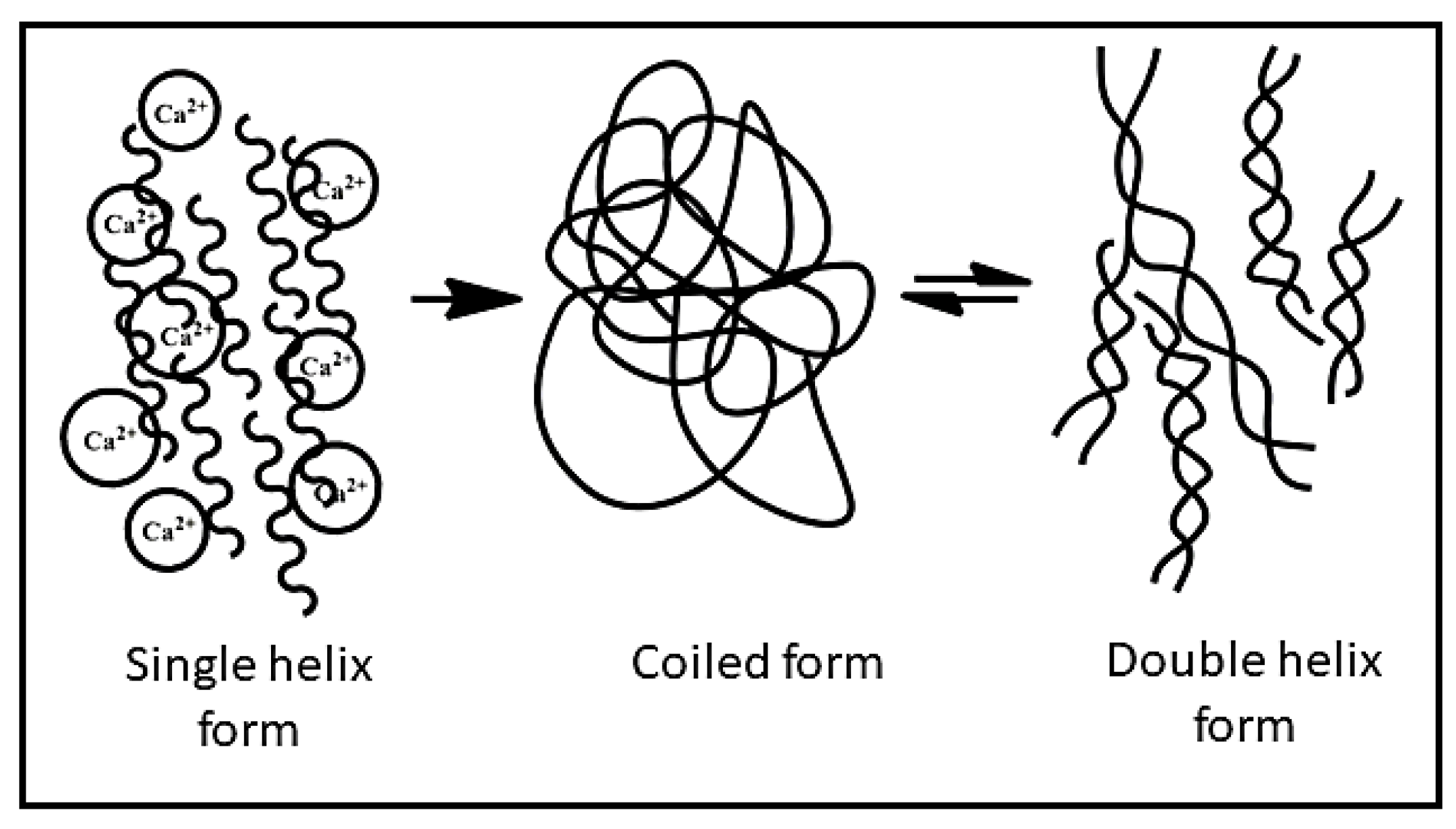 Pharmaceutics Free FullText Advances in Xanthan GumBased Systems for the Delivery of