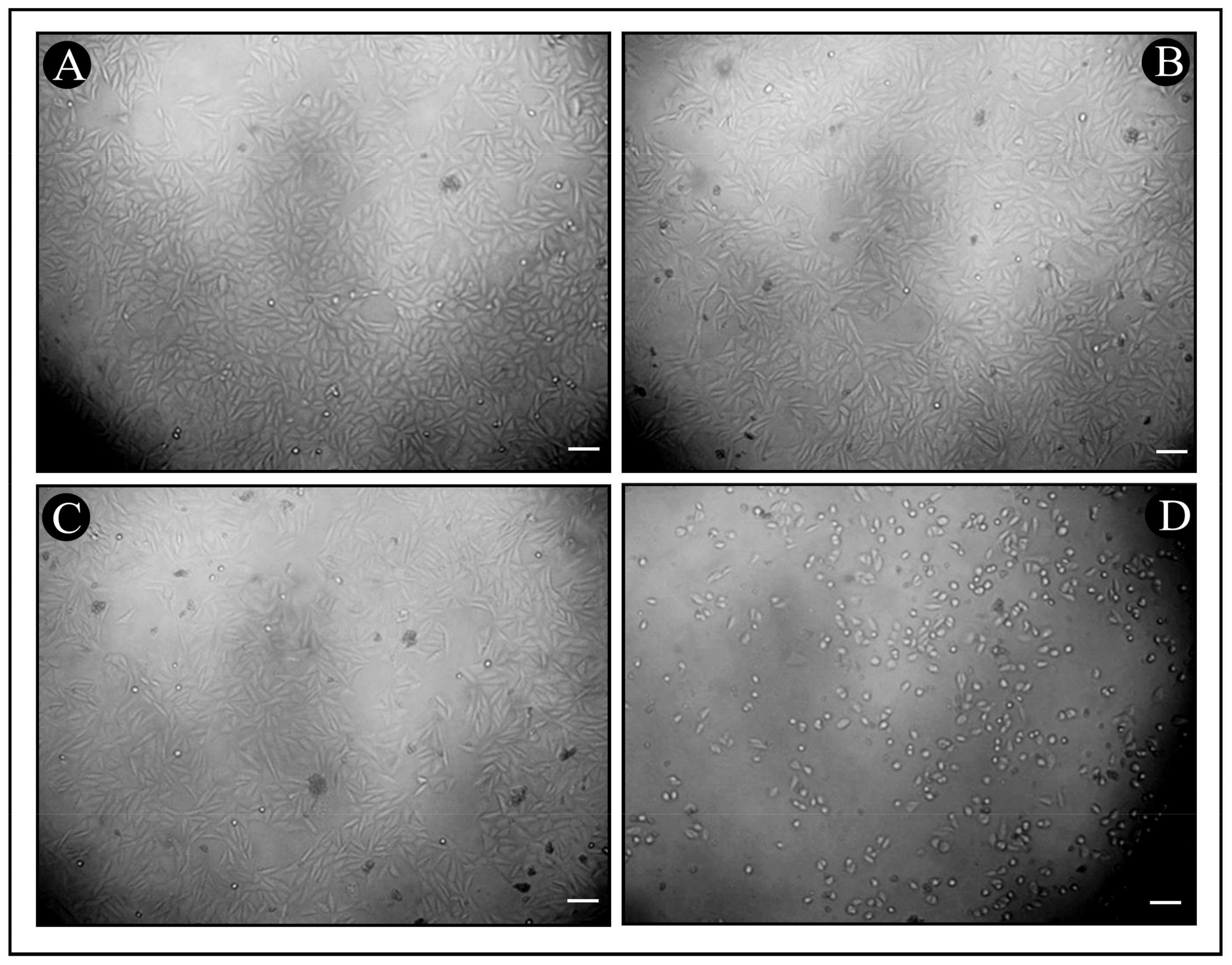 Pharmaceutics 15 00403 g006 Pharmaceutics 15 00403 g006