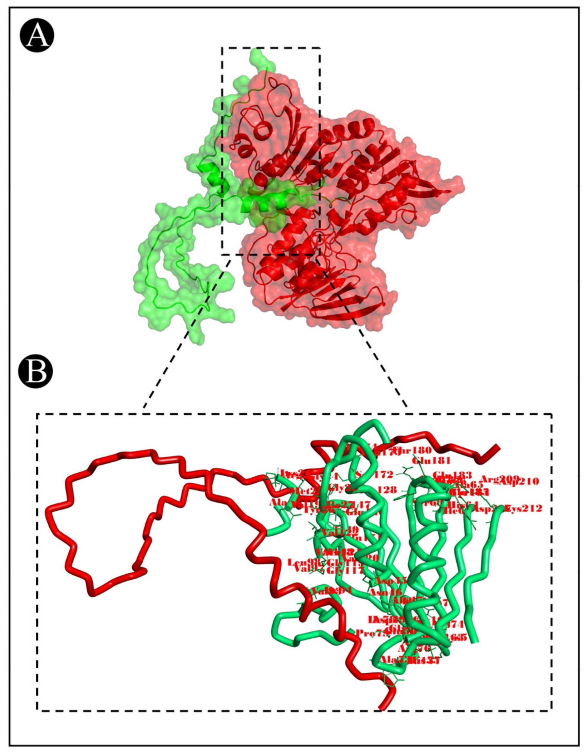 Pharmaceutics 15 00403 g007 Pharmaceutics 15 00403 g007