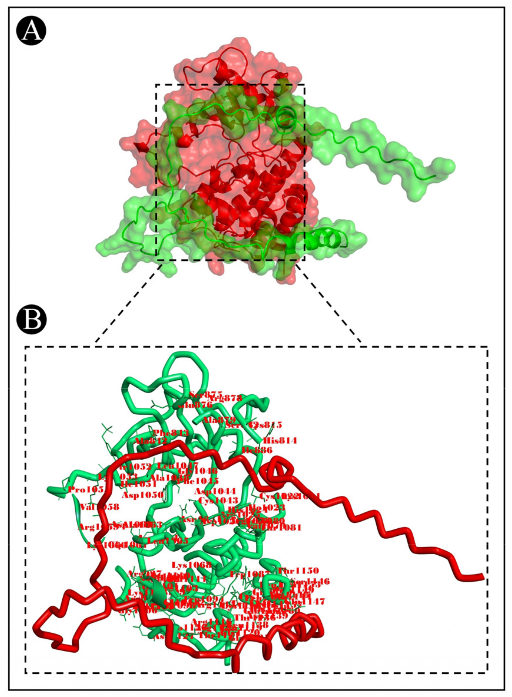Pharmaceutics 15 00403 g008 Pharmaceutics 15 00403 g008