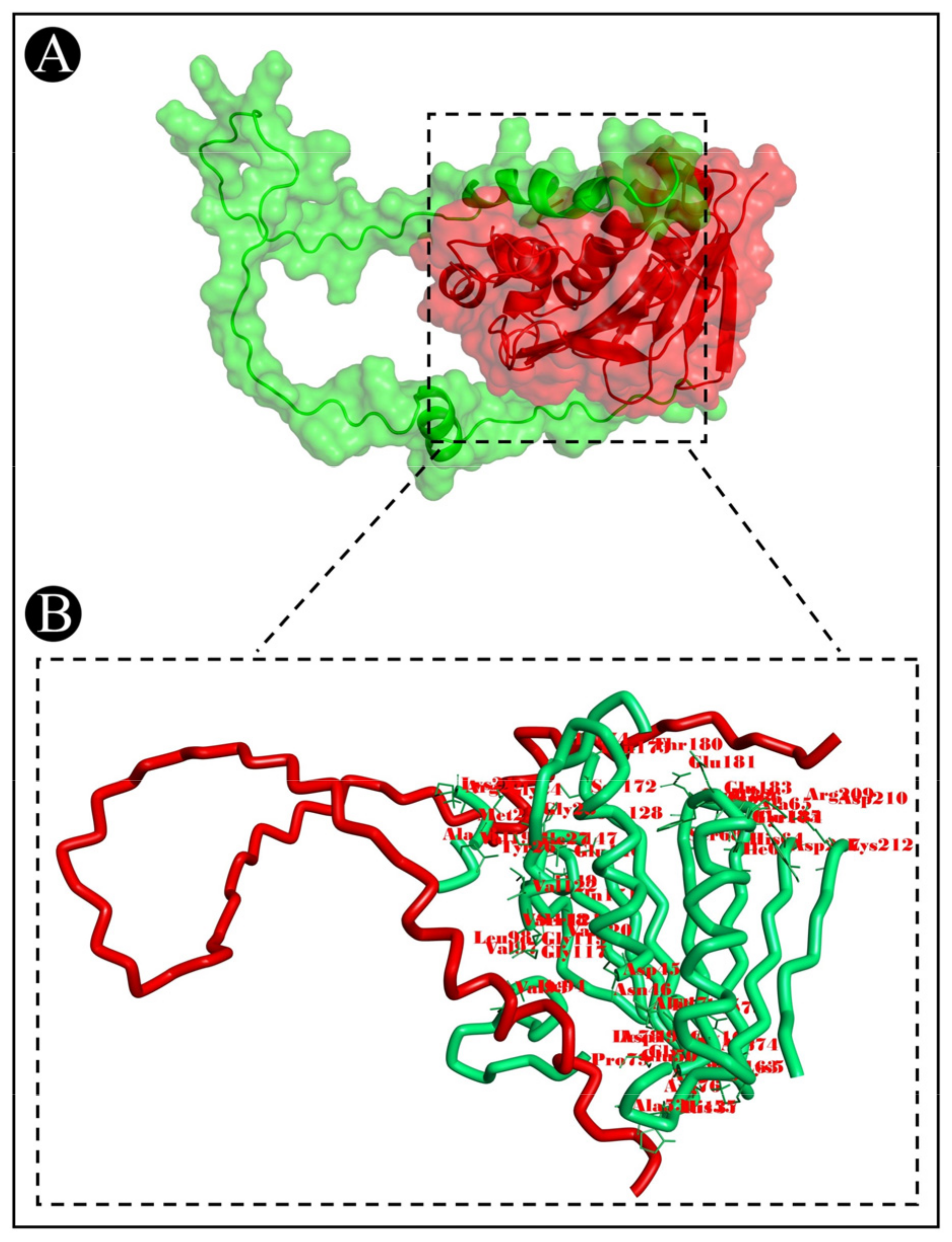 Pharmaceutics 15 00403 g009 Pharmaceutics 15 00403 g009
