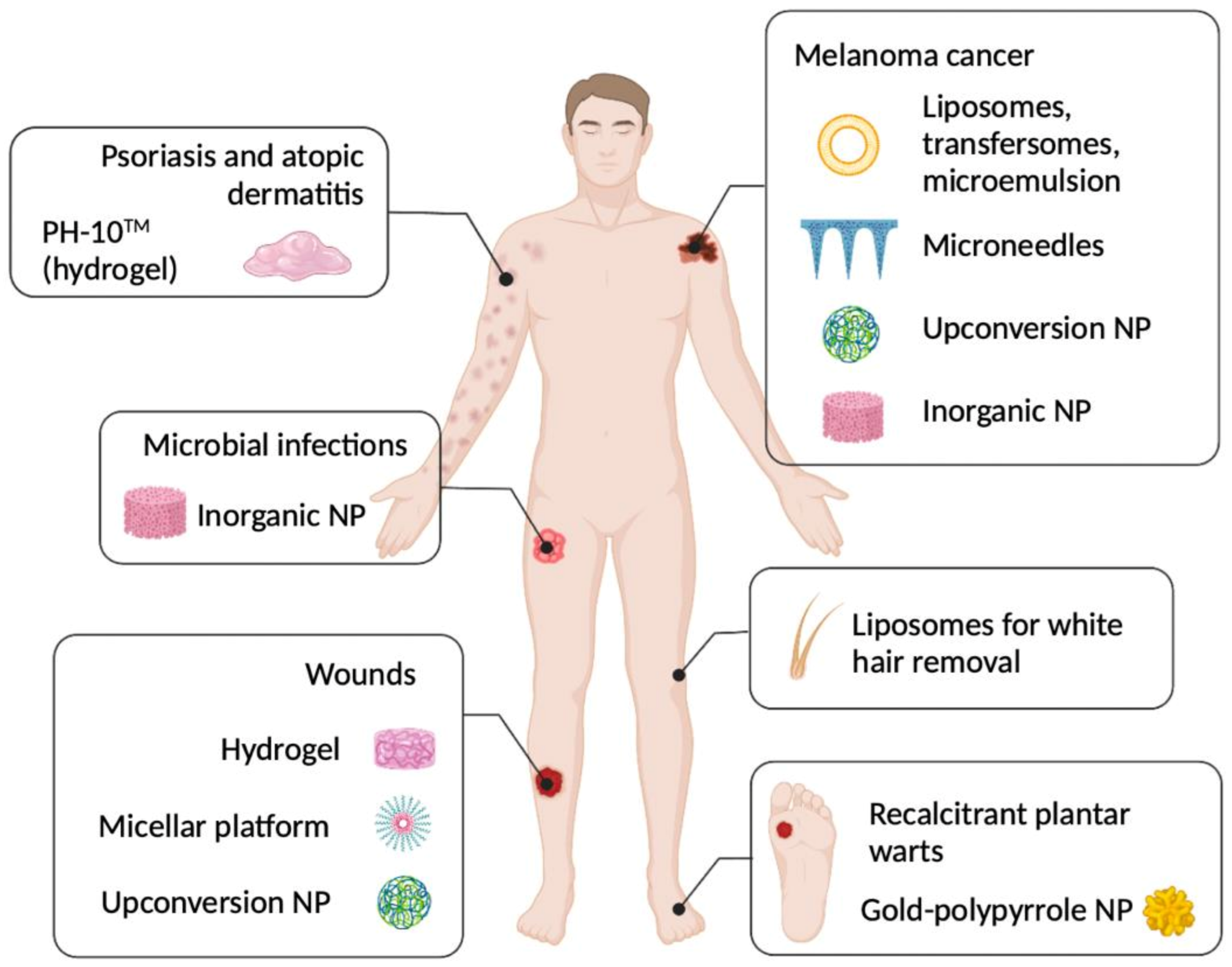 Pharmaceutics 15 00408 g001 Pharmaceutics 15 00408 g001