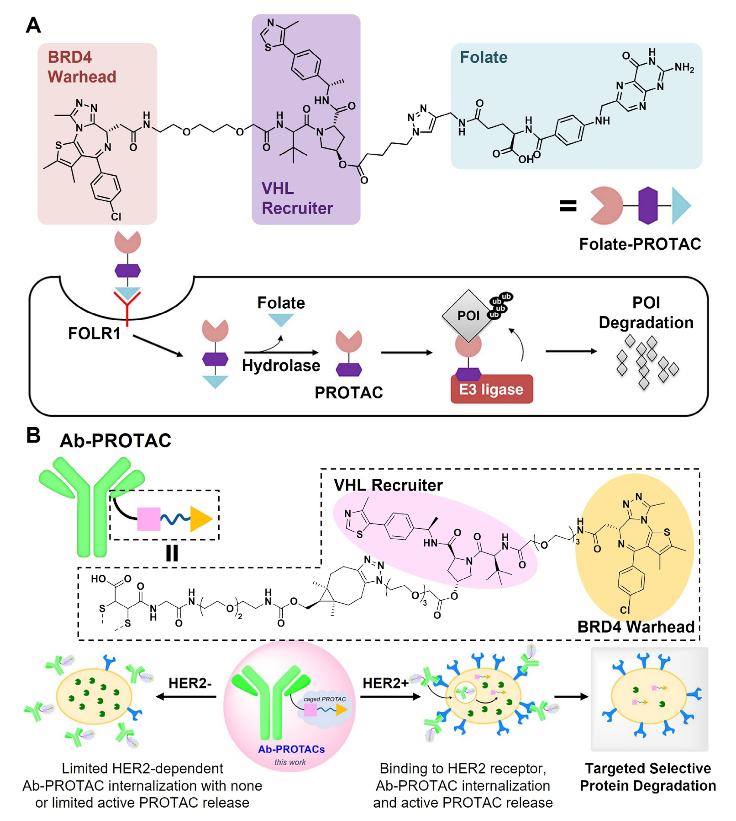 Pharmaceutics 15 00411 g004 Pharmaceutics 15 00411 g004