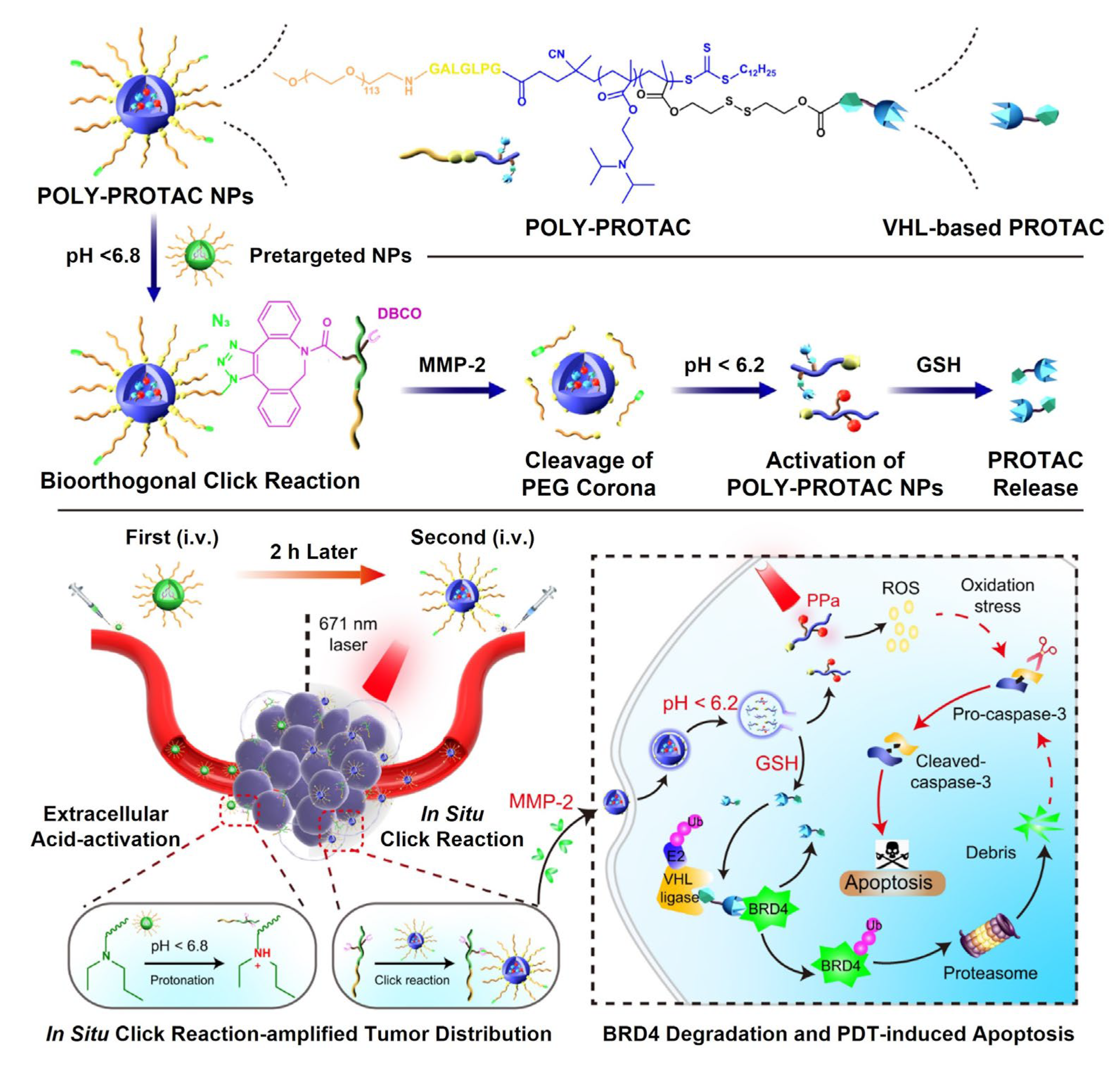 Pharmaceutics 15 00411 g005 Pharmaceutics 15 00411 g005