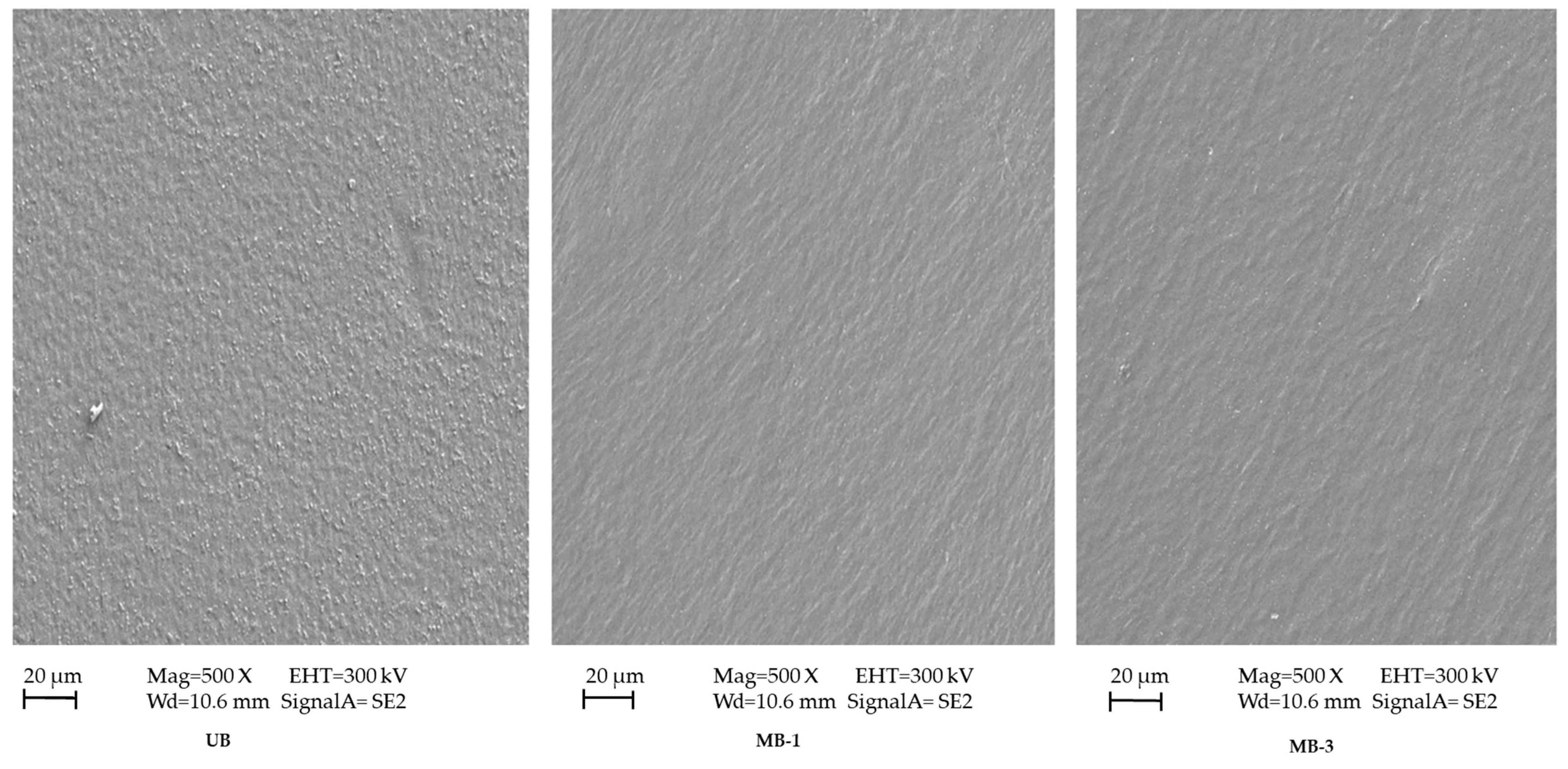 Pharmaceutics 15 00418 g004