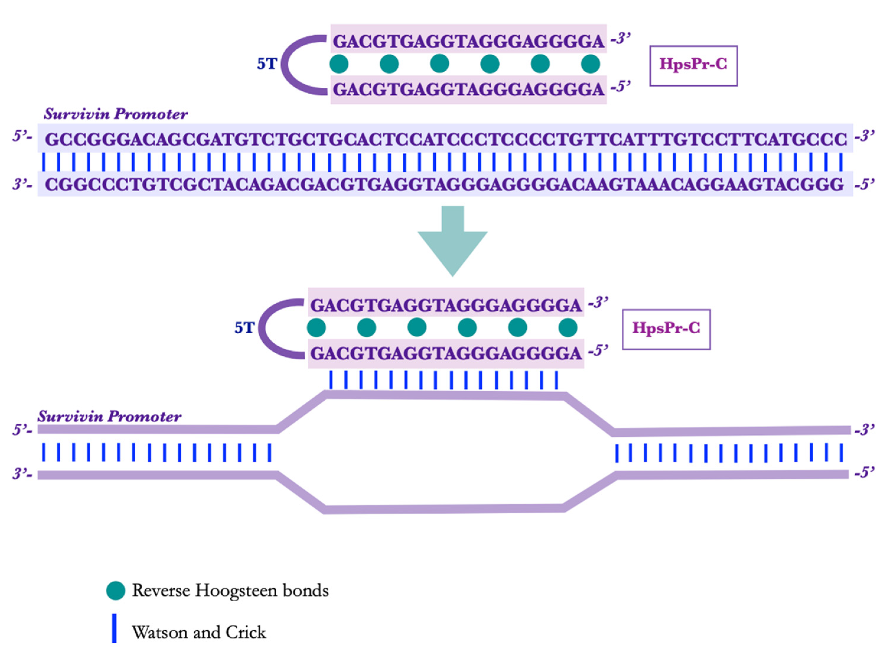 Pharmaceutics 15 00420 g001 Pharmaceutics 15 00420 g001