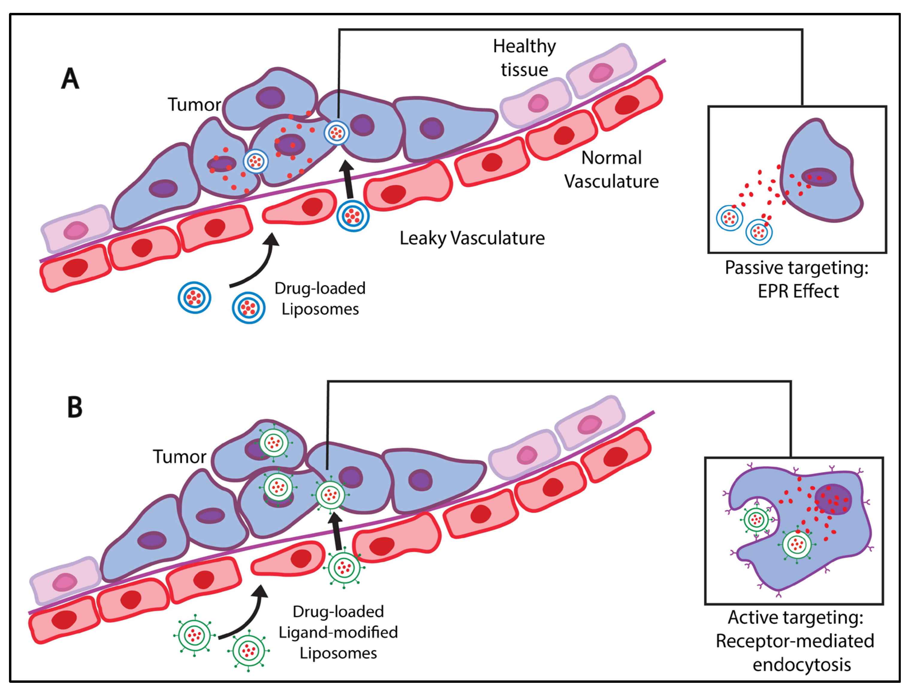 Pharmaceutics 15 00421 g003 Pharmaceutics 15 00421 g003