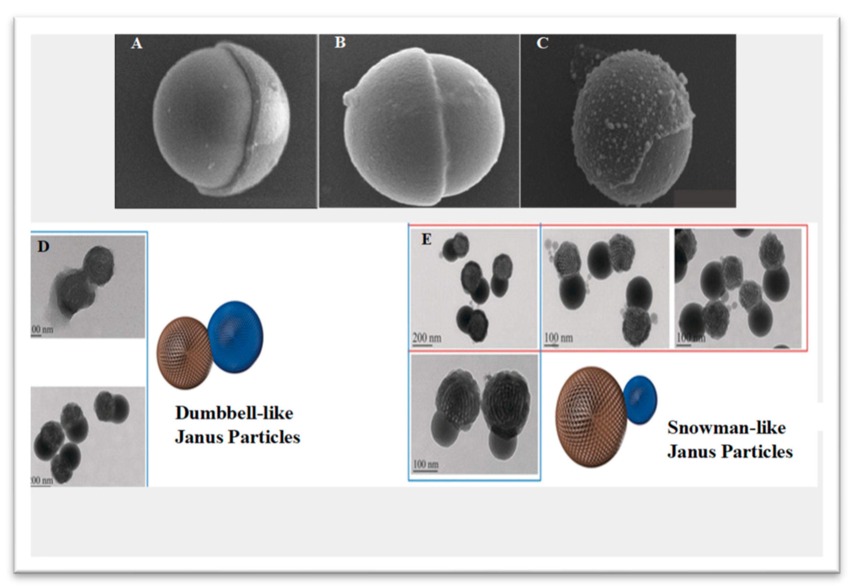 Pharmaceutics 15 00423 g001 Pharmaceutics 15 00423 g001