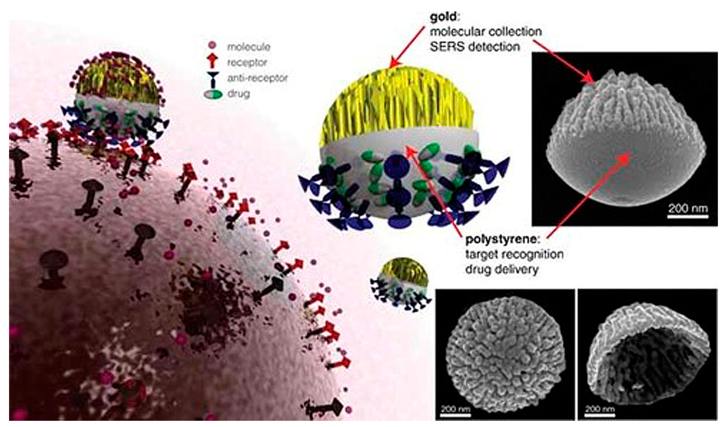 Pharmaceutics 15 00423 g004 Pharmaceutics 15 00423 g004