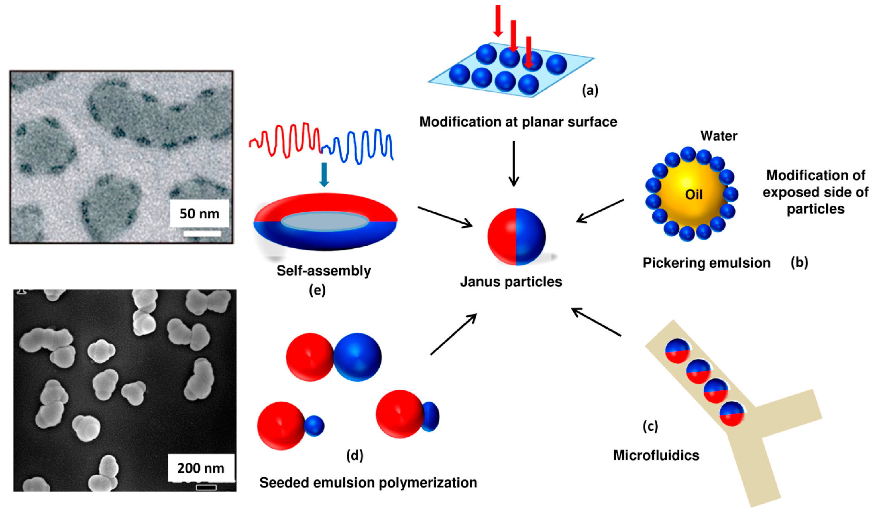 Pharmaceutics 15 00423 g005 Pharmaceutics 15 00423 g005