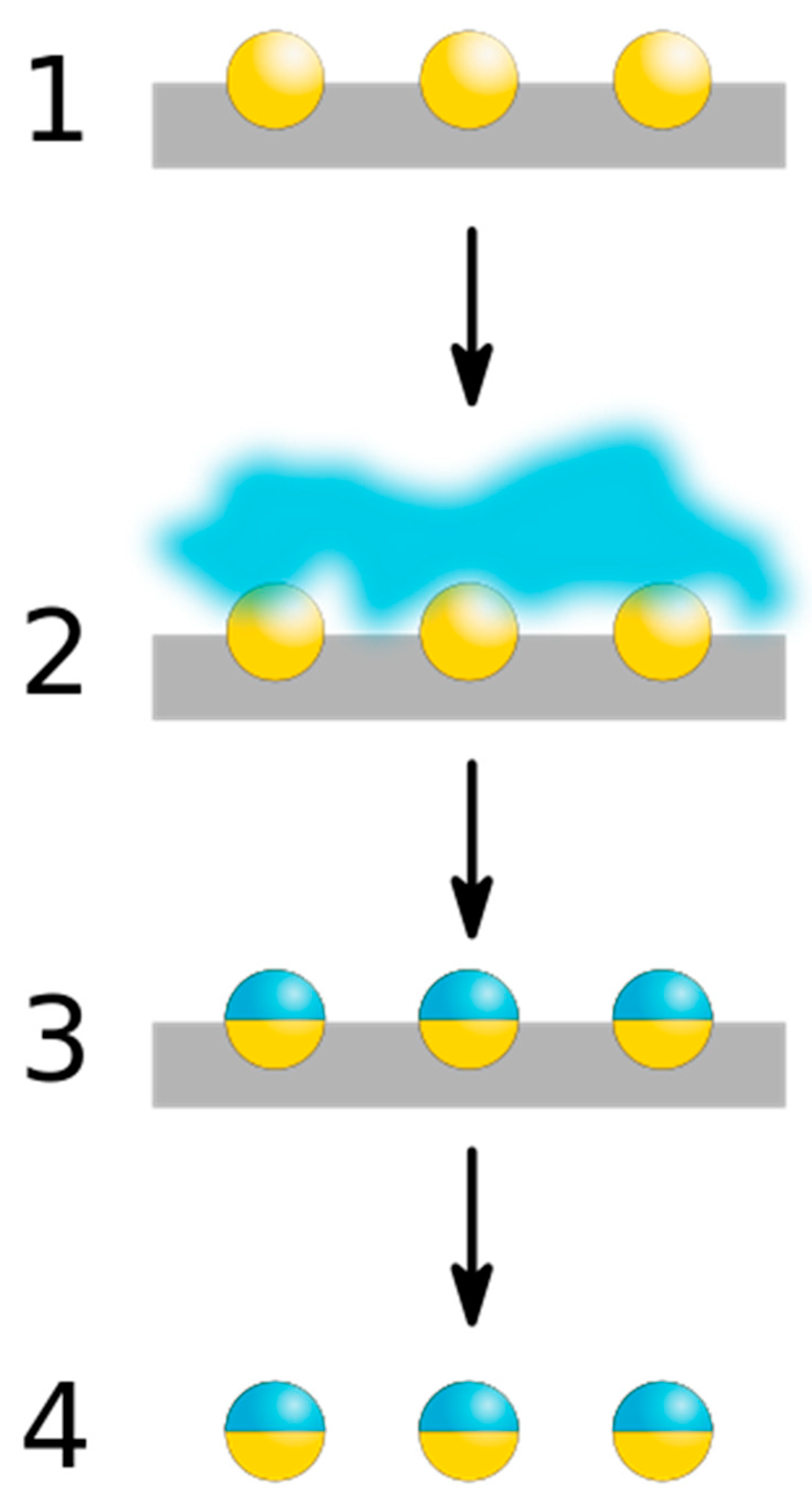 Pharmaceutics 15 00423 g006 Pharmaceutics 15 00423 g006