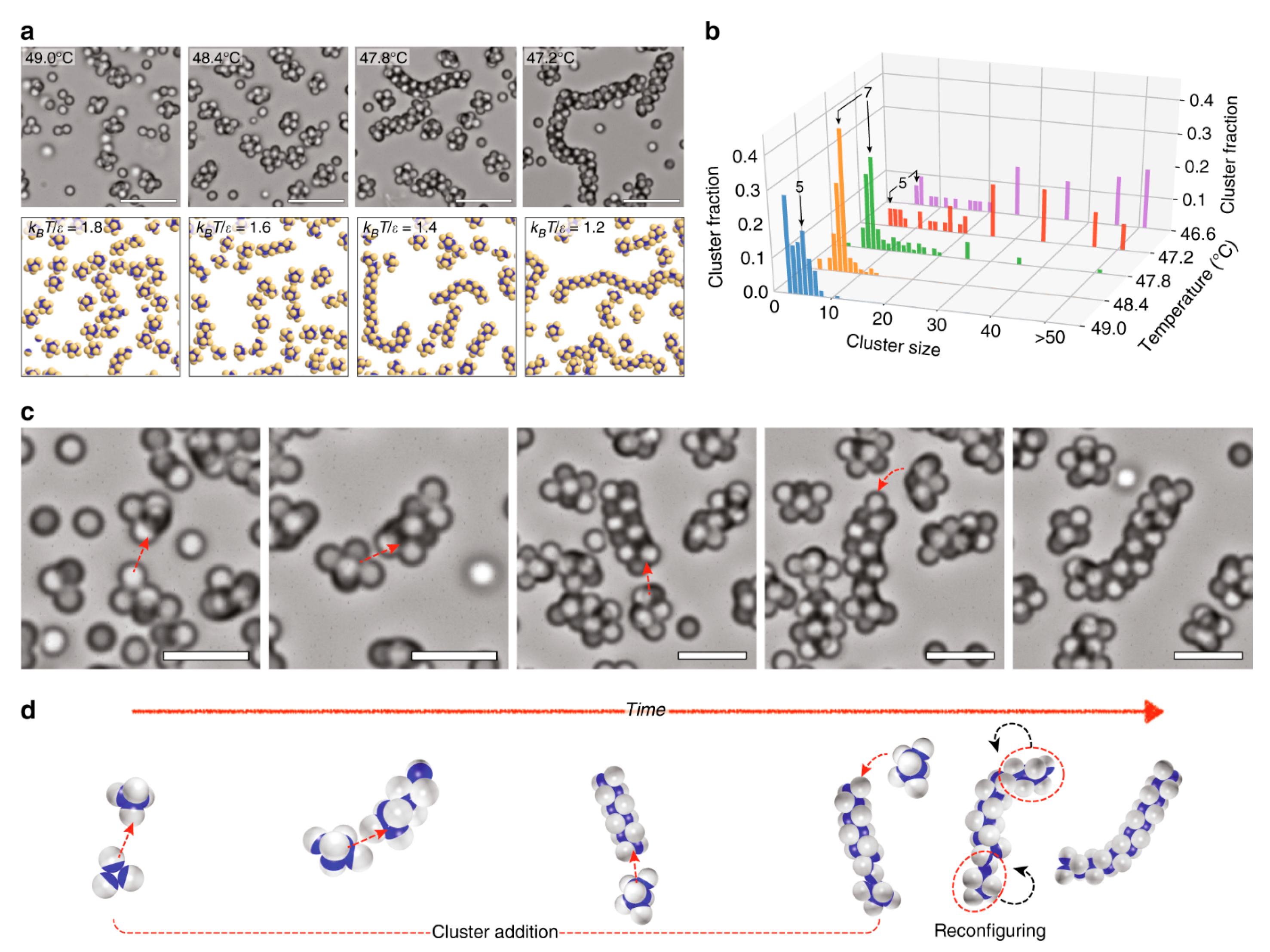 Pharmaceutics 15 00423 g007 Pharmaceutics 15 00423 g007