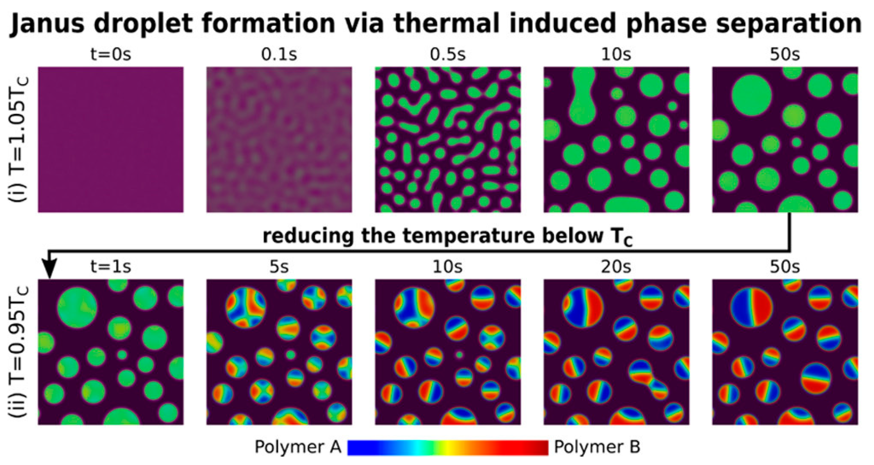 Pharmaceutics 15 00423 g009 Pharmaceutics 15 00423 g009