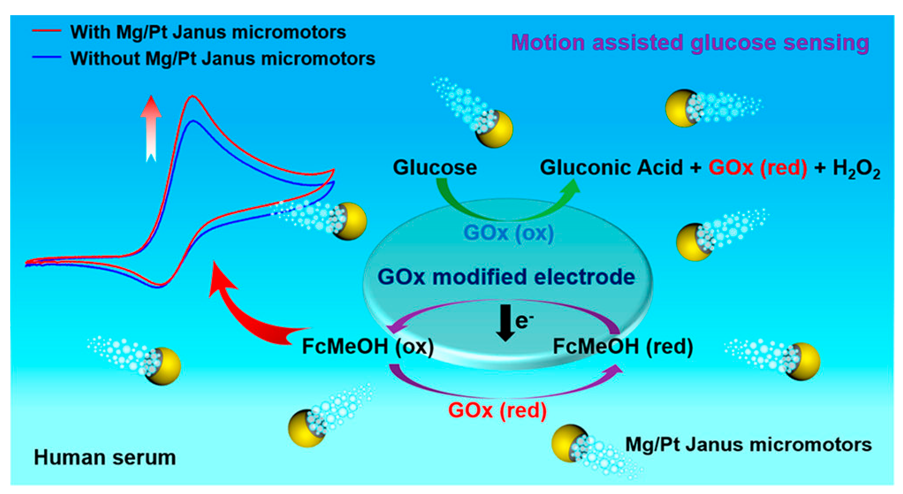 Pharmaceutics 15 00423 g010 Pharmaceutics 15 00423 g010