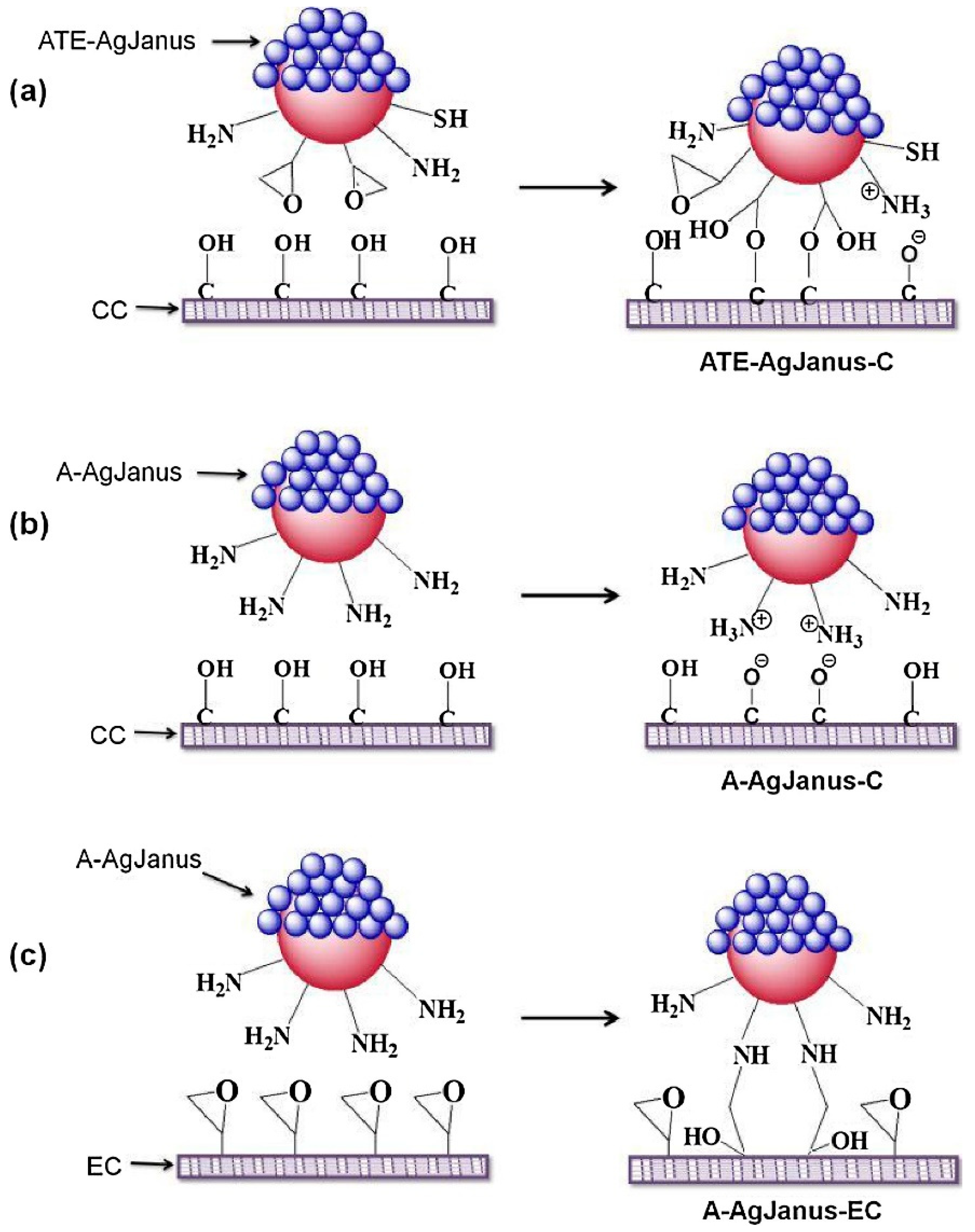 Pharmaceutics 15 00423 g012 Pharmaceutics 15 00423 g012
